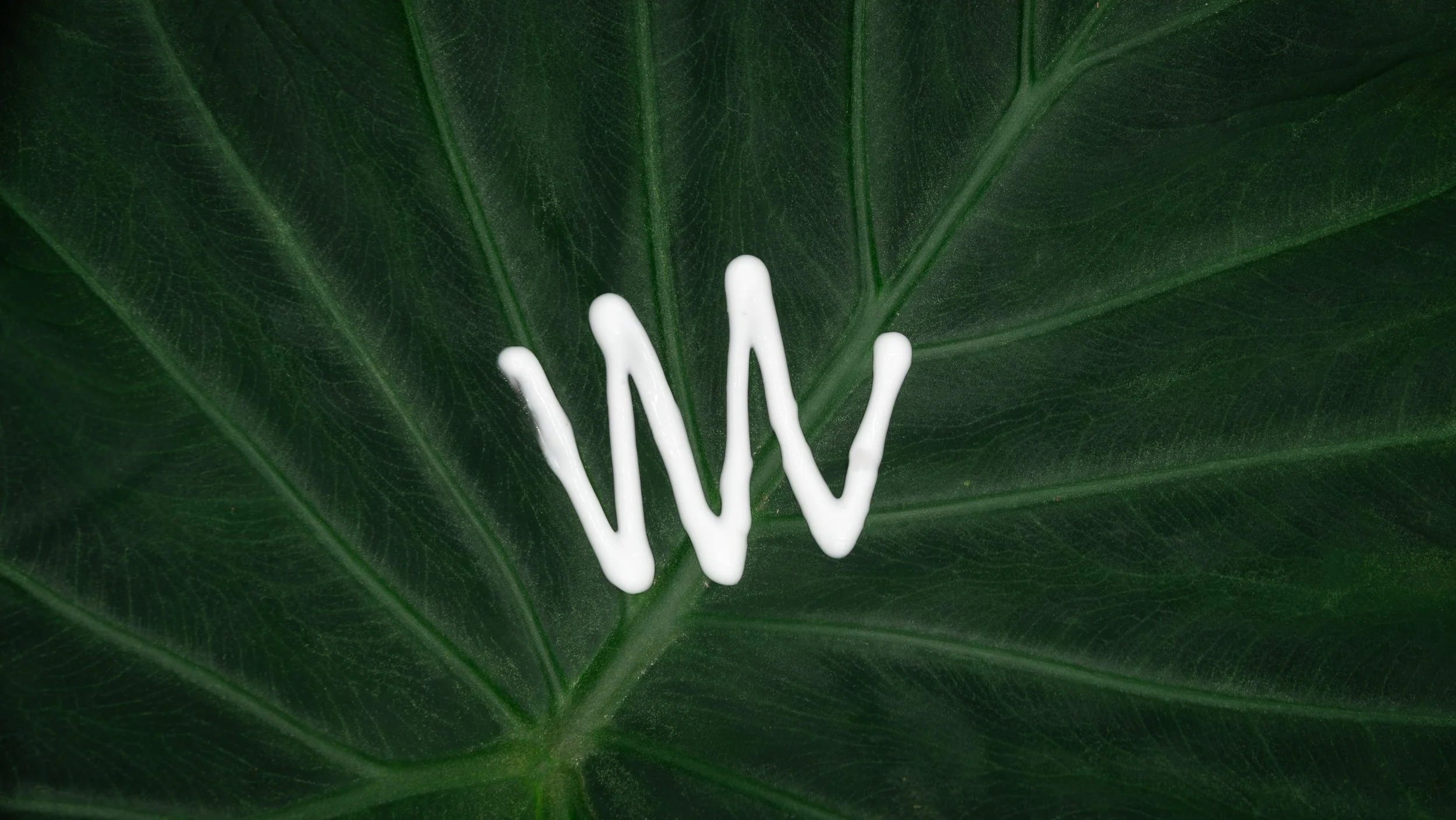 Leaf.jpg