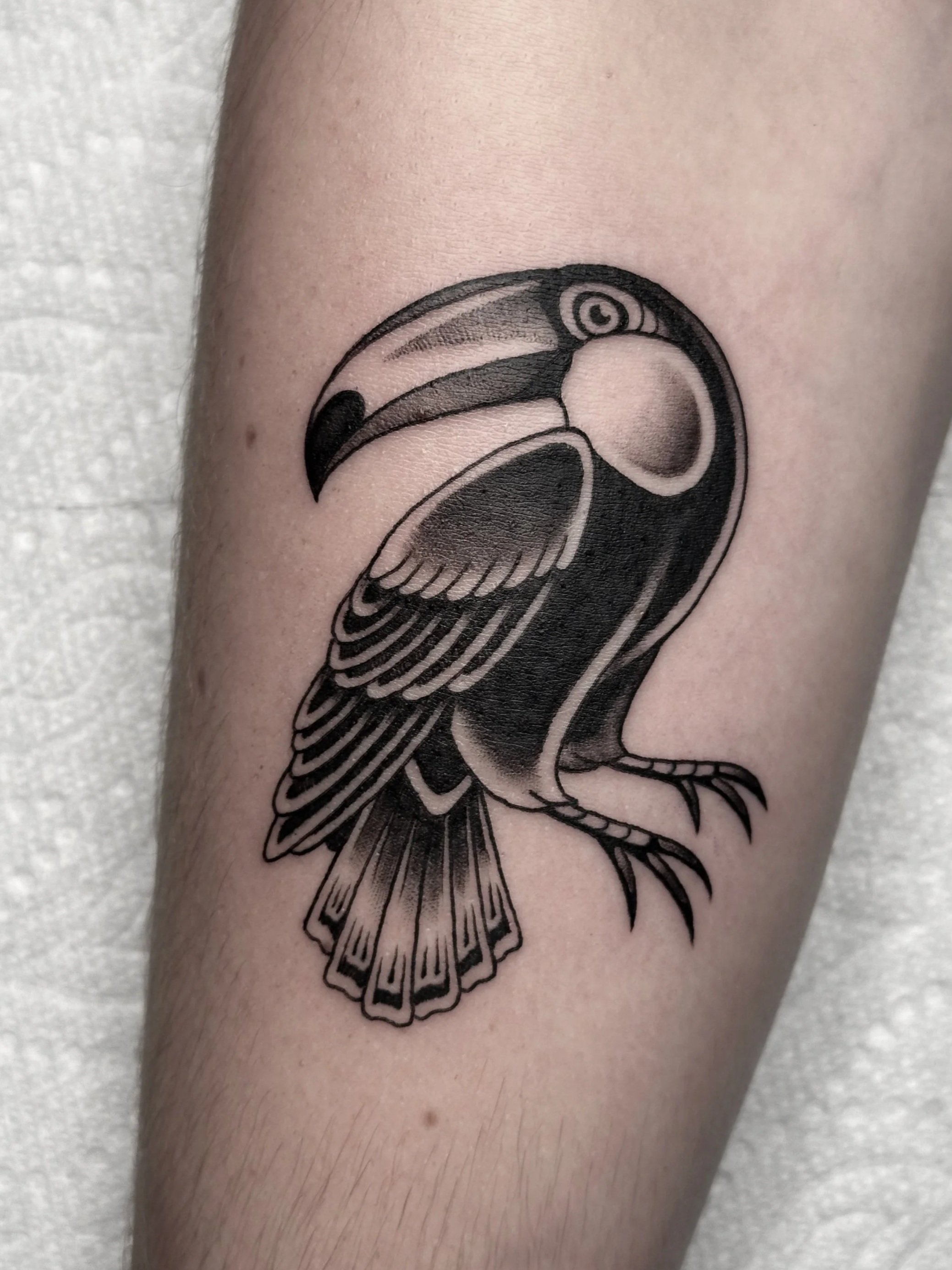 Toucan Flash Tatto Halifax Nova Scotia