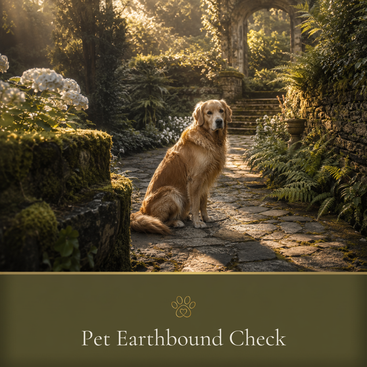 Pet Earthbound Check