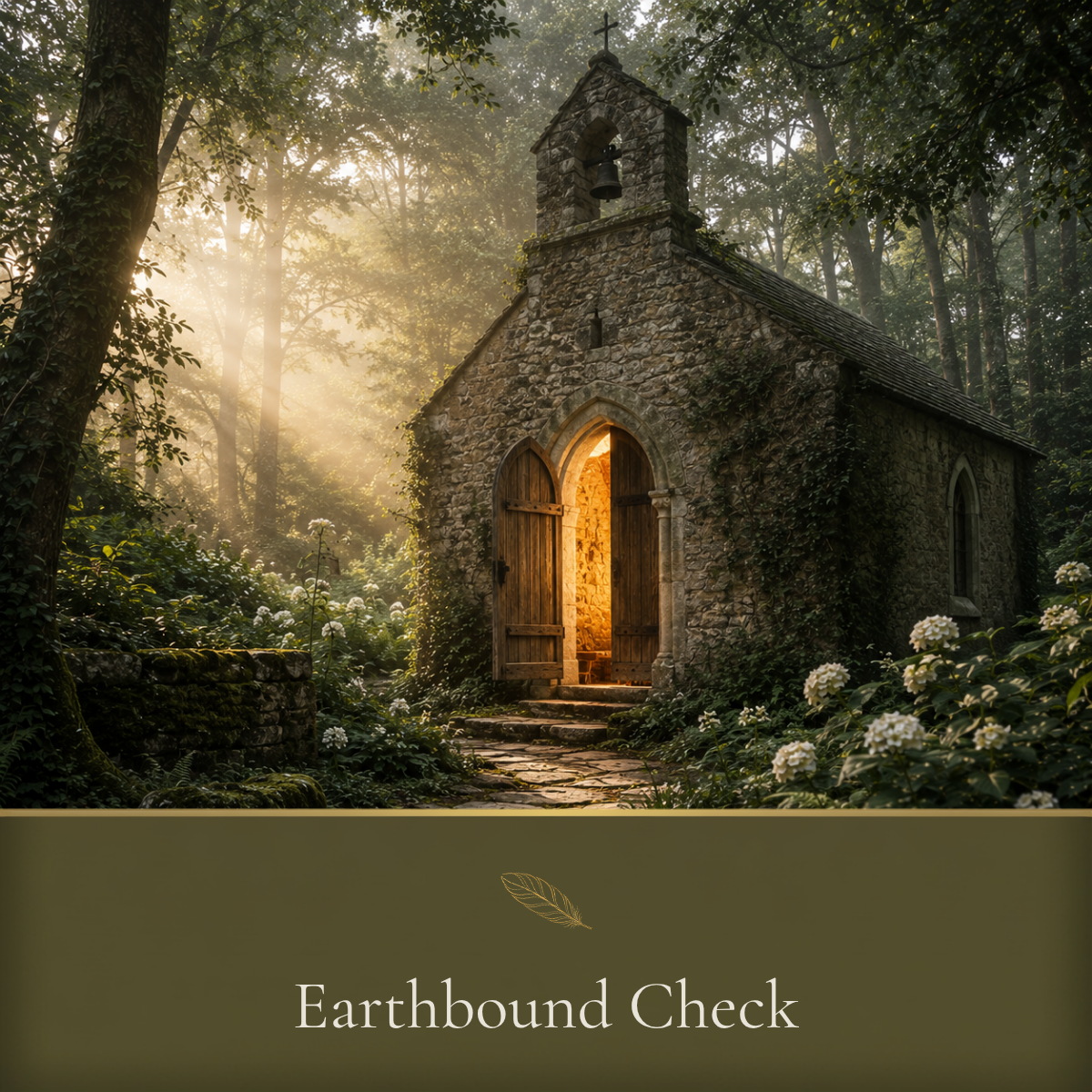 Earthbound Check