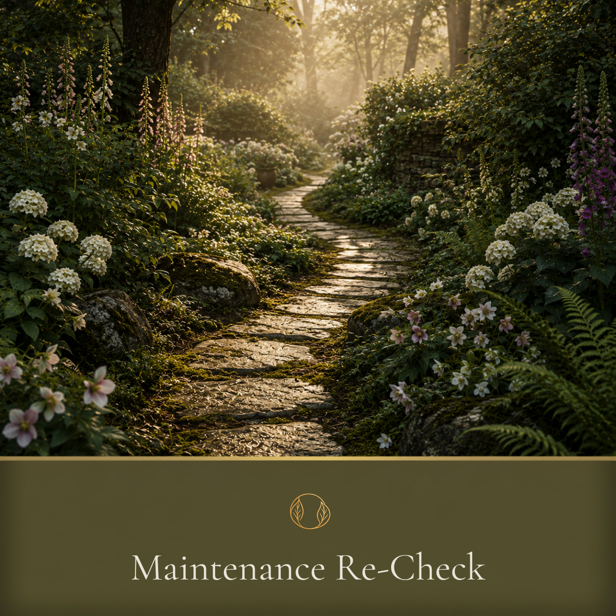 Maintenance Re-Check  SRT clearing
