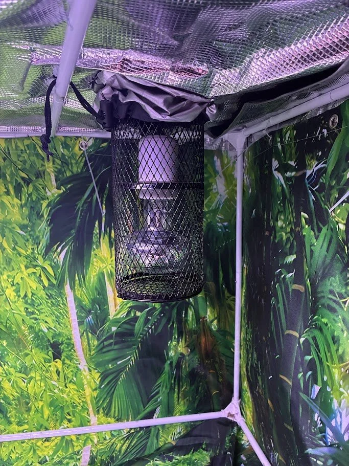 A cylindrical white object is held inside a black wire mesh container, hanging from the ceiling of a small indoor space decorated with tropical plant wallpaper.