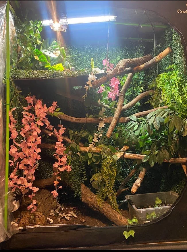 A lush indoor terrarium with various green plants, pink flowers, and an arrangement of natural branches and wood inside a glass enclosure.