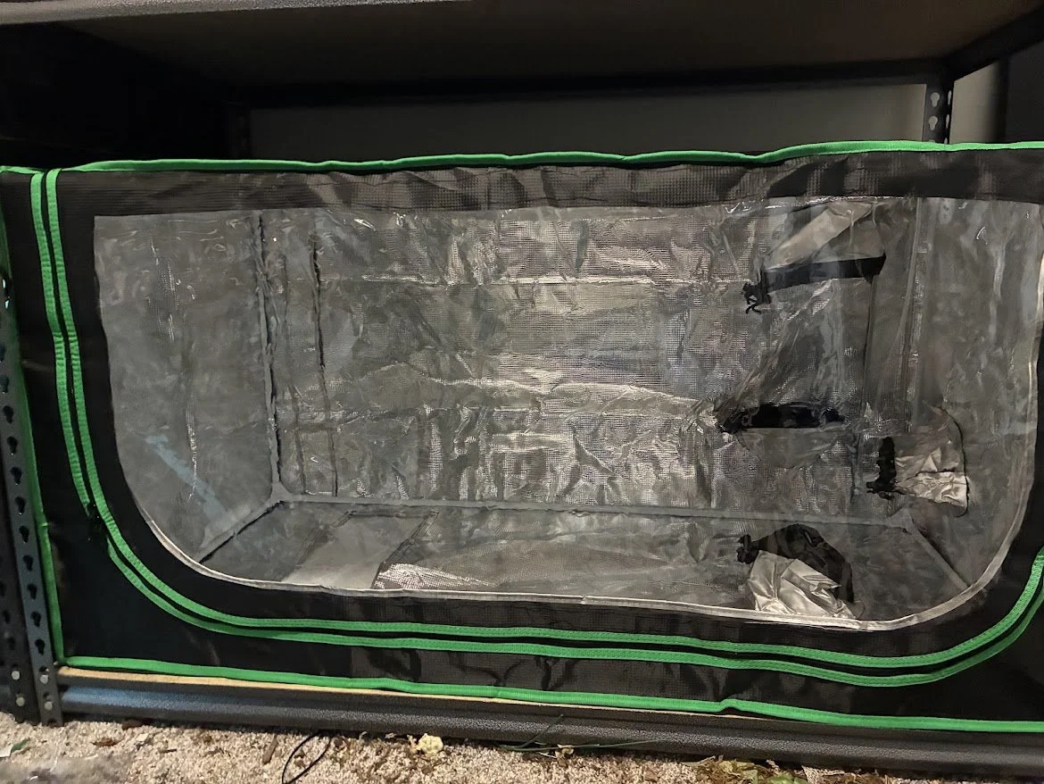 A black grow tent with a reflective interior and a transparent plastic window, set on a metal shelf in a store.