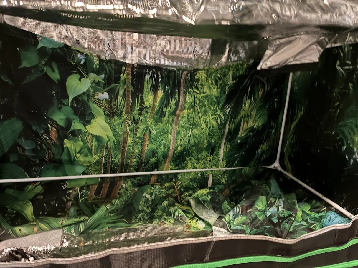 Interior of a portable greenhouse with wall and ceiling made of printed fabric featuring jungle scene with green trees and leaves.
