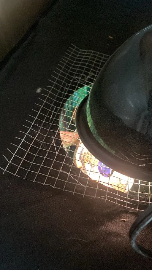 A pot on a grill with a small fire underneath, placed on a wire rack.