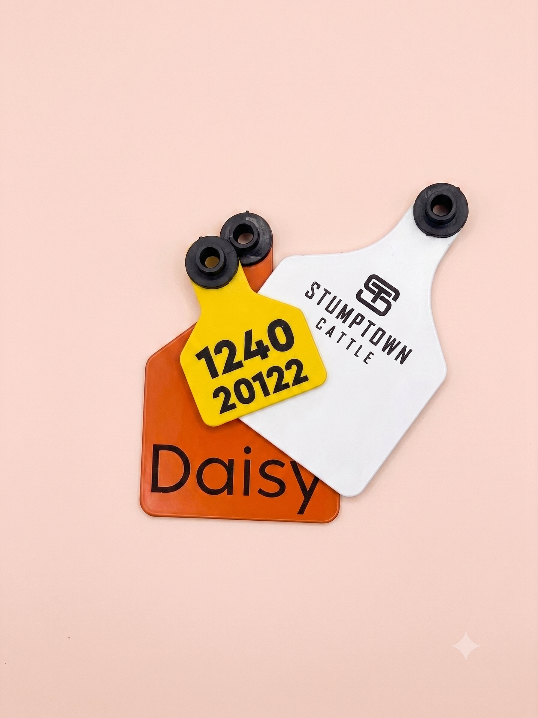 A photograph of 3 cattle ear tags on an orange background.