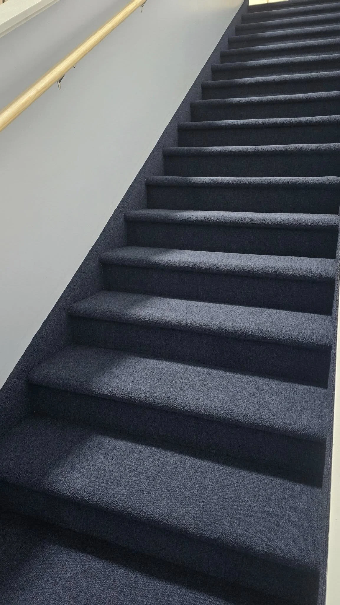 Mohawk Broadlume Carpet Rule Breaker in Navy for PMC