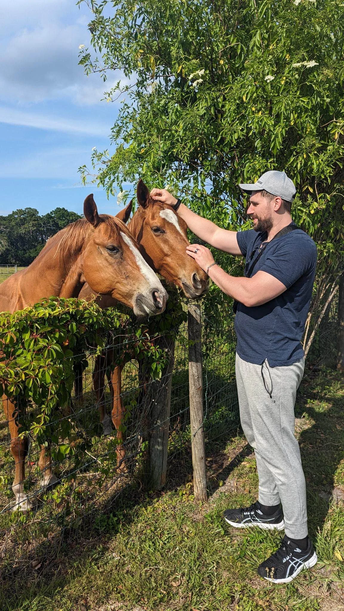 A man in a gray cap and navy shirt interacts with two brown horses through a wire fence, petting and touching their heads, with green trees and a blue sky in the background.