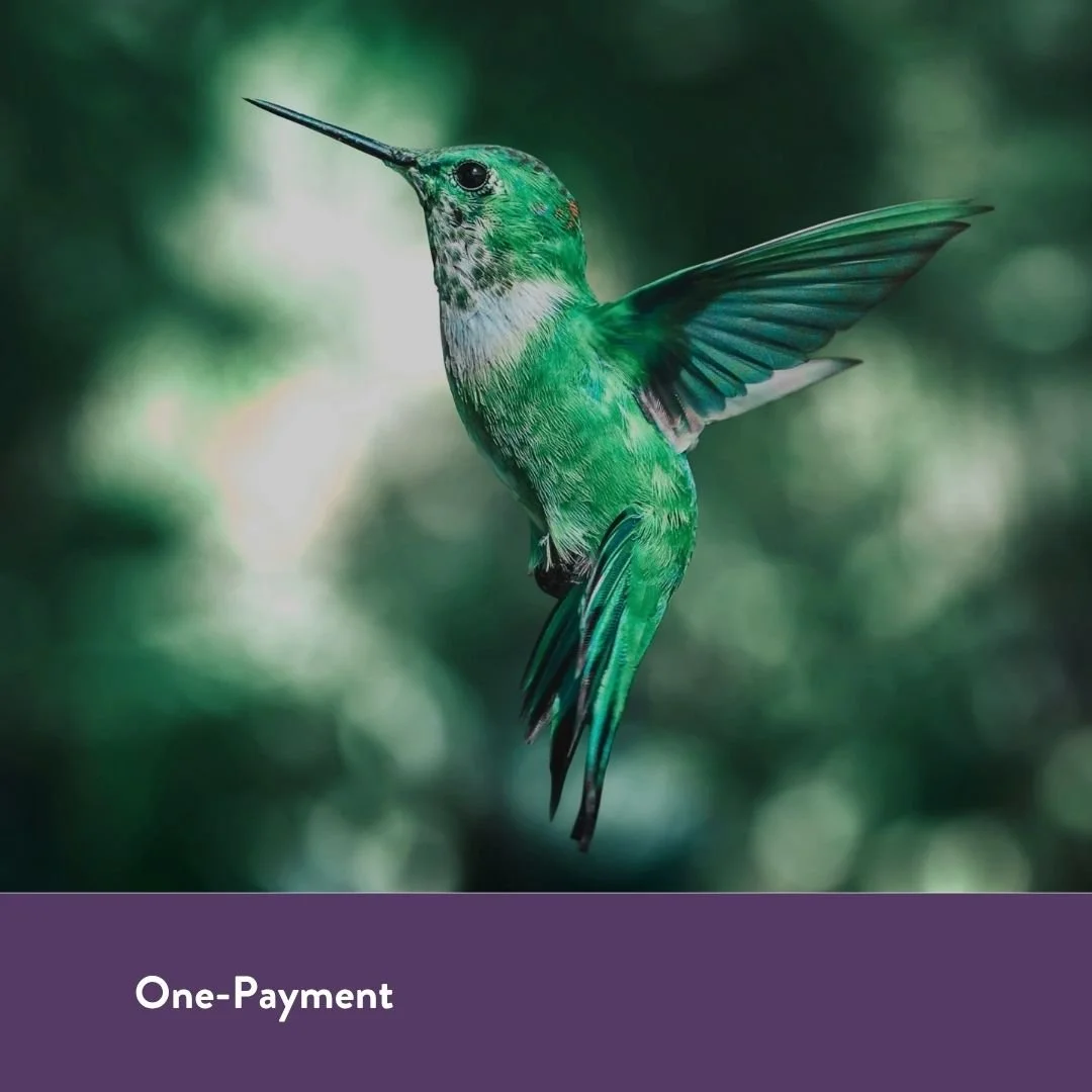 HeArt Speaking Foundation Year: One Payment