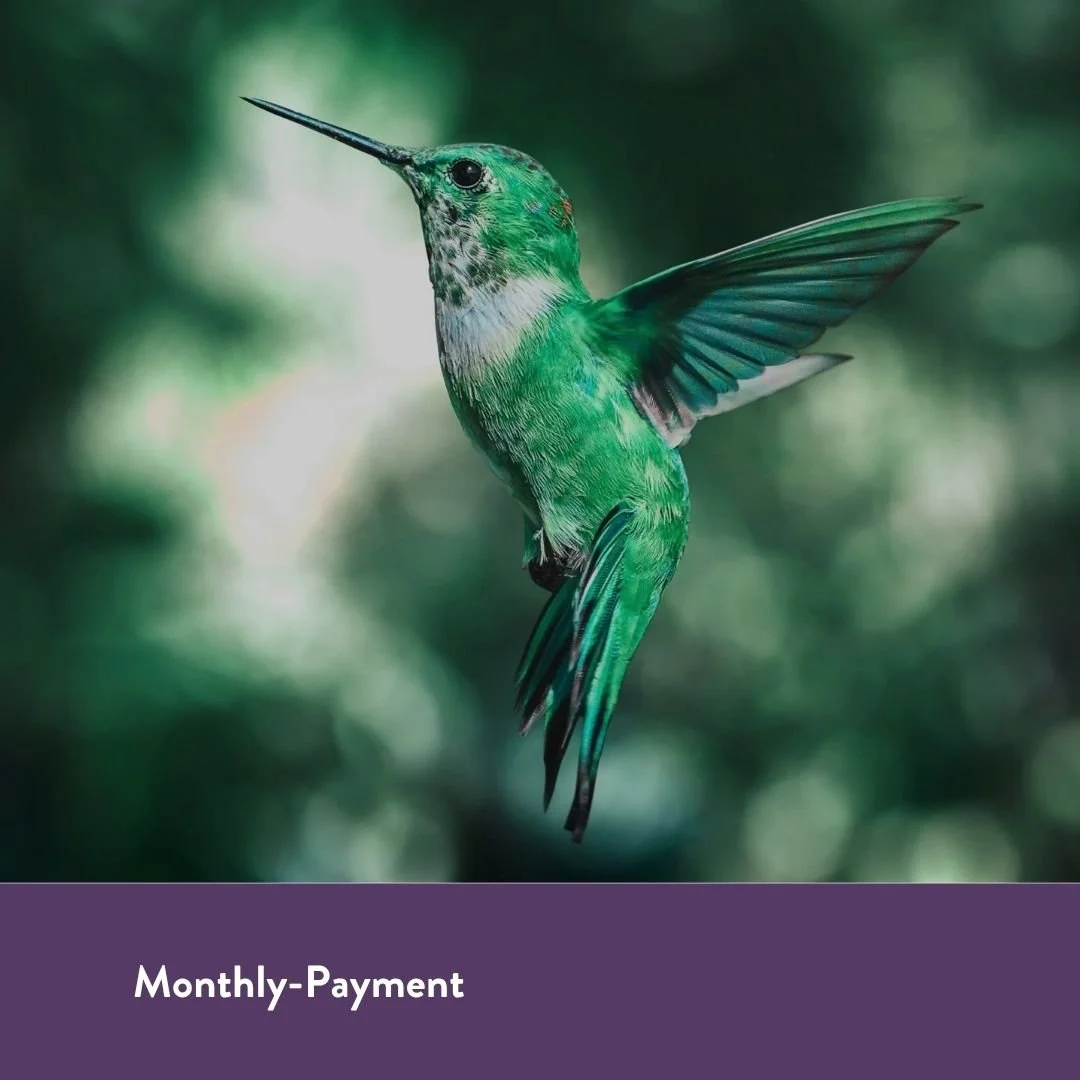 HeArt Speaking Foundation Year: Pay Monthly Option