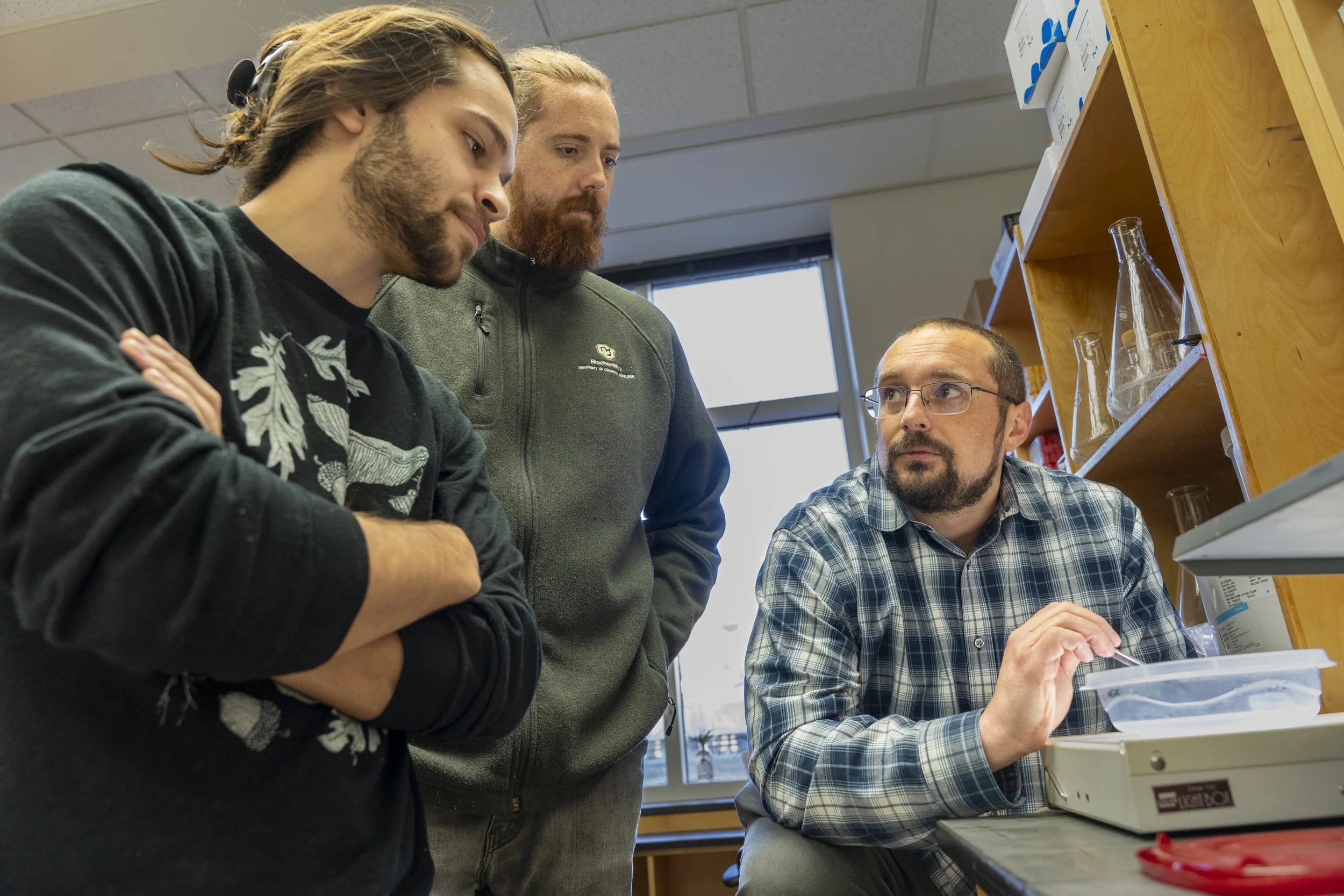 Discussing an SDS-PAGE gel