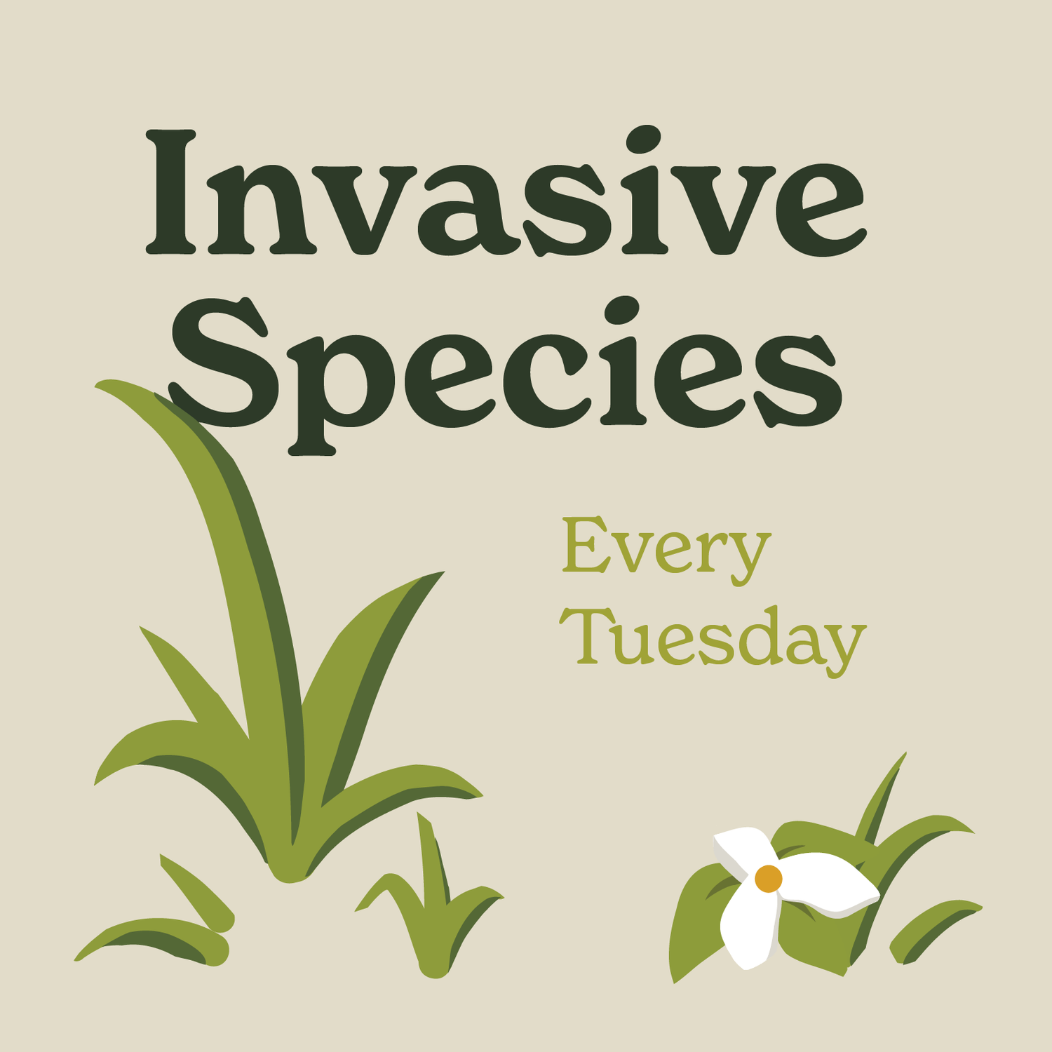 About — Glacial Hills Trails