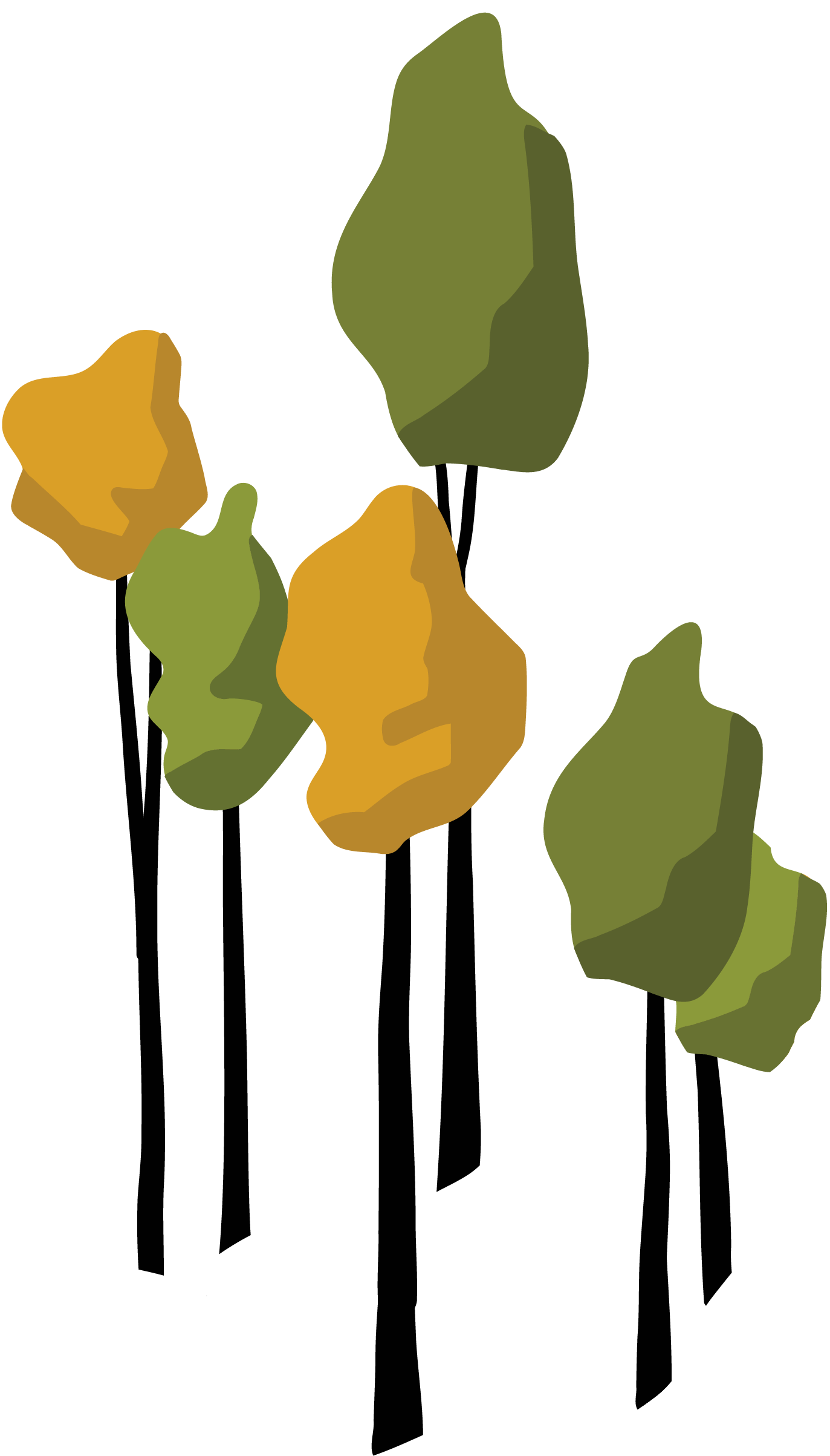 About — Glacial Hills Trails