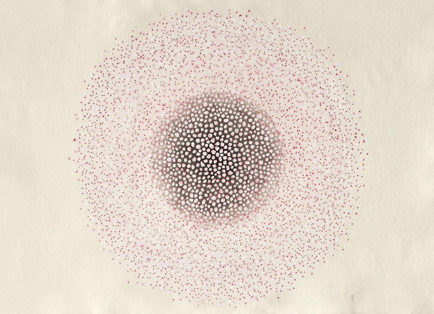 01_MementoMori_Sakura_web.jpg