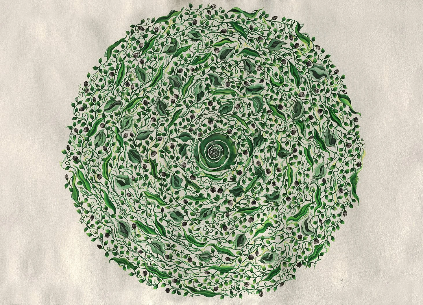 03_MementoMori_Vine_web.jpg