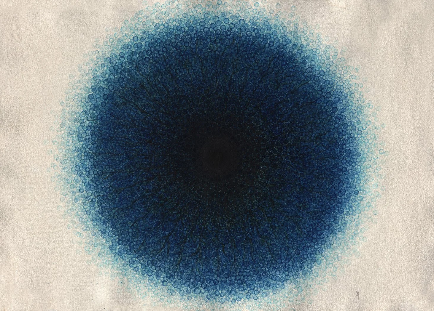 02_MementoMori_Algae_web.jpg