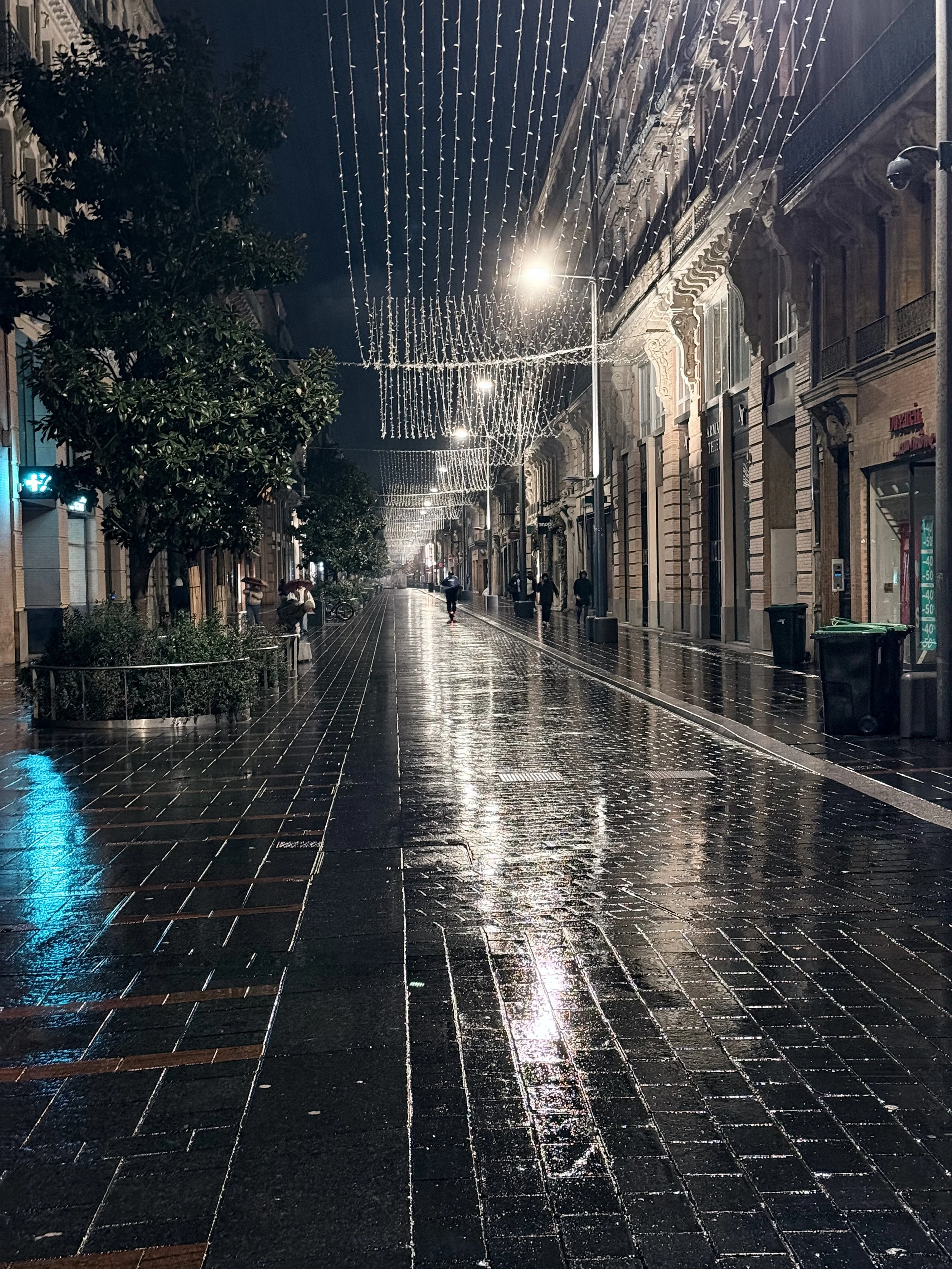 Toulouse night rain.jpeg
