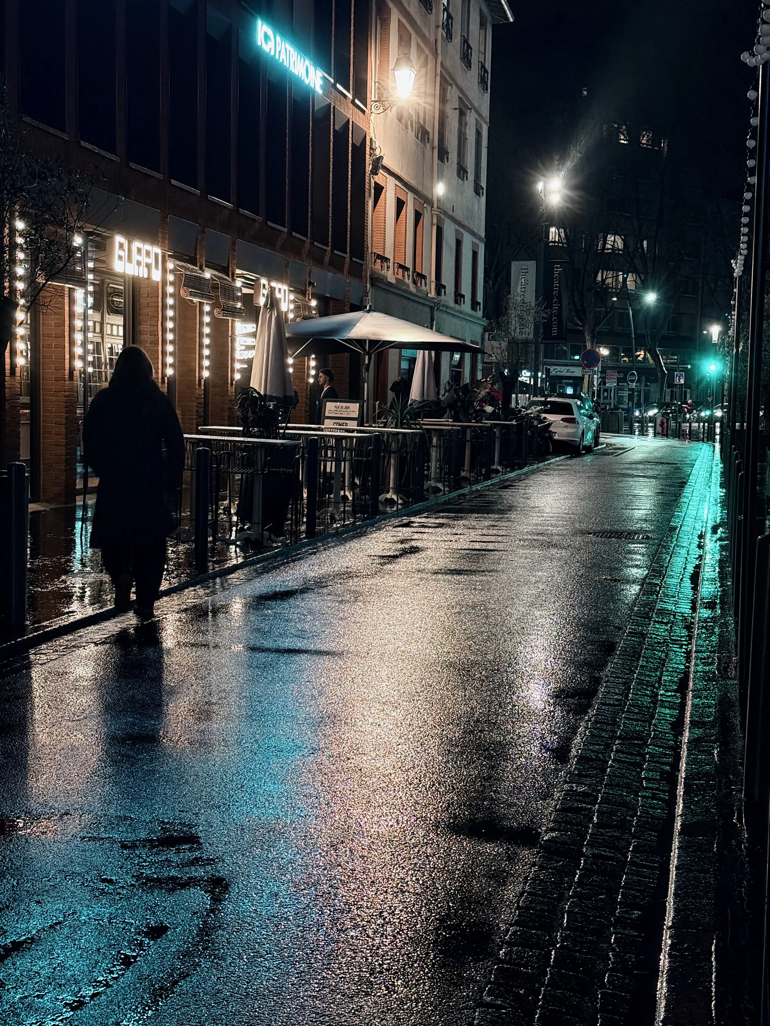 Toulouse night greeen.jpeg