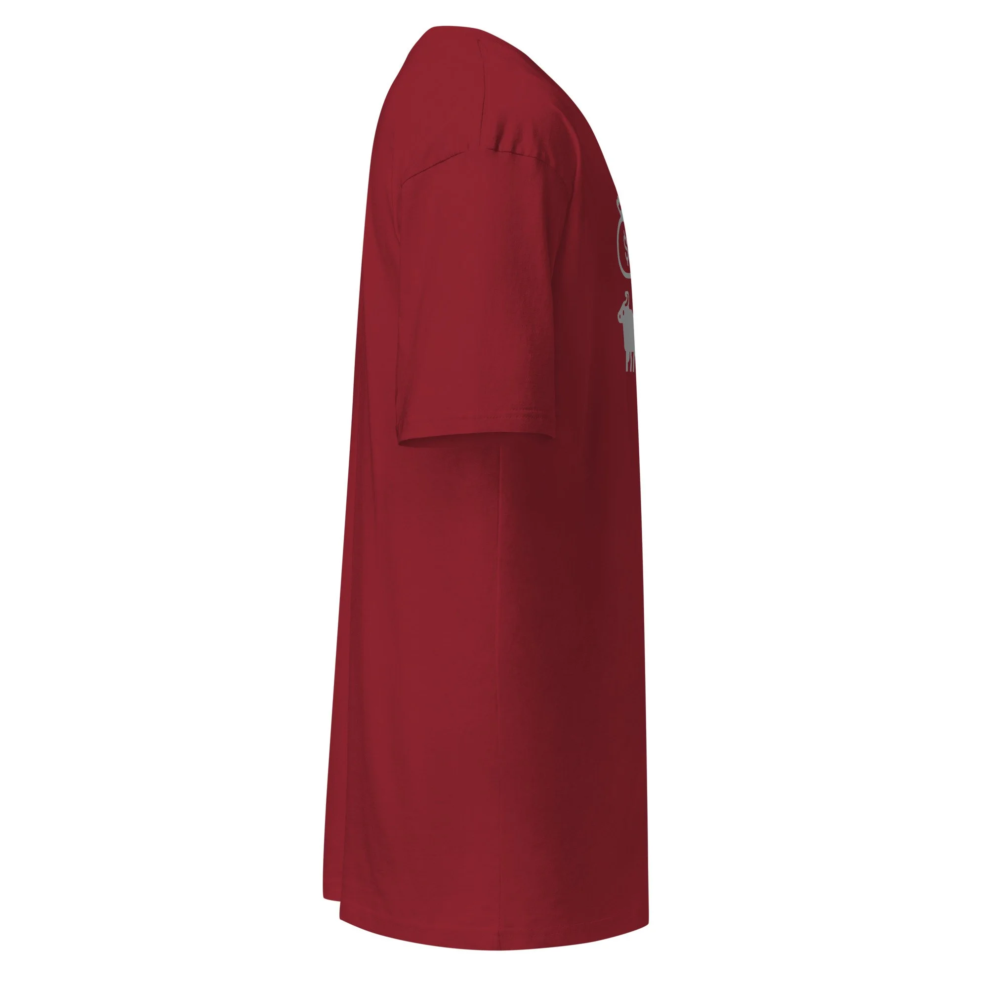 mens-premium-heavyweight-tee-brick-red-right-6aa020b91f3a8.jpg
