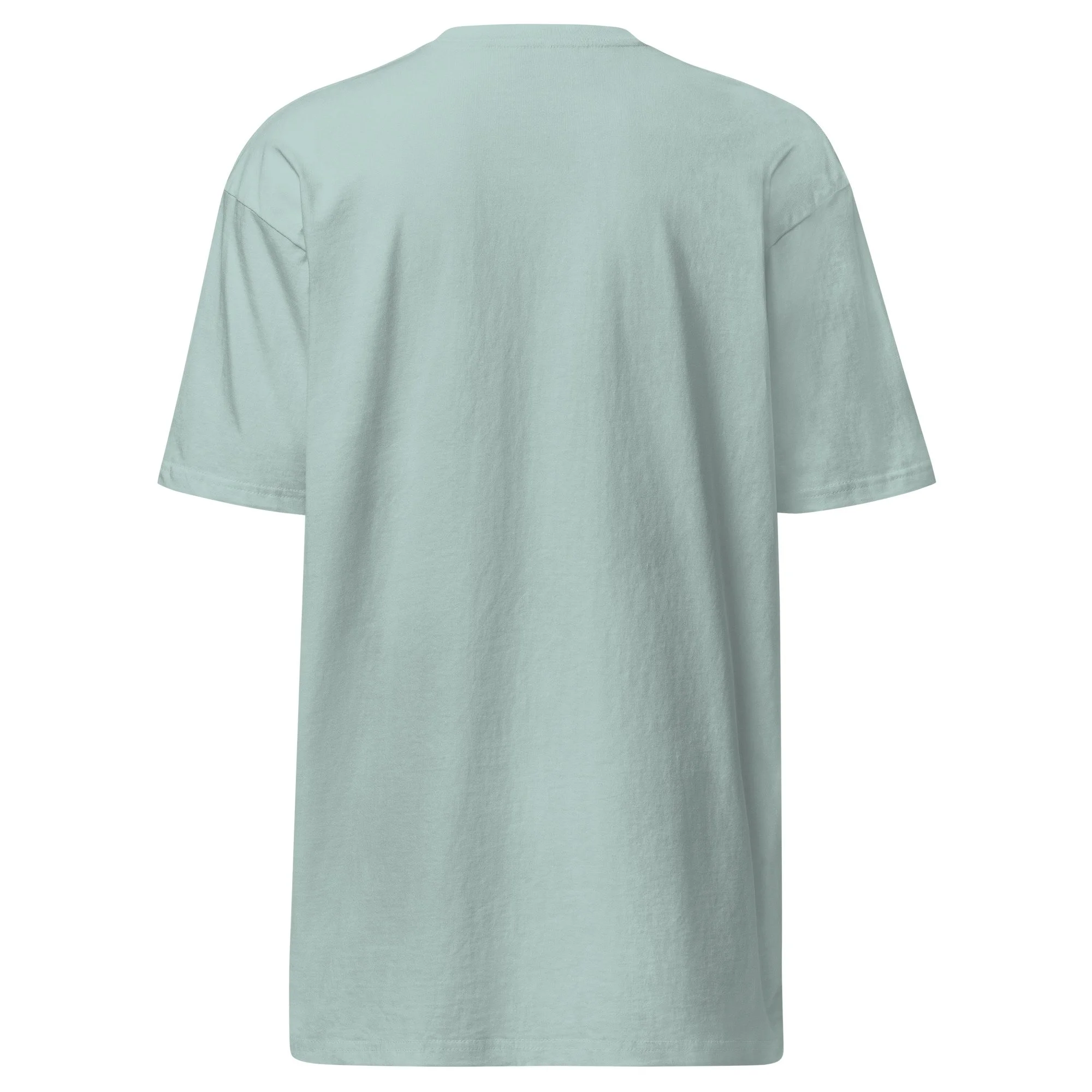 mens-premium-heavyweight-tee-agave-back-6aa020b91edca.jpg