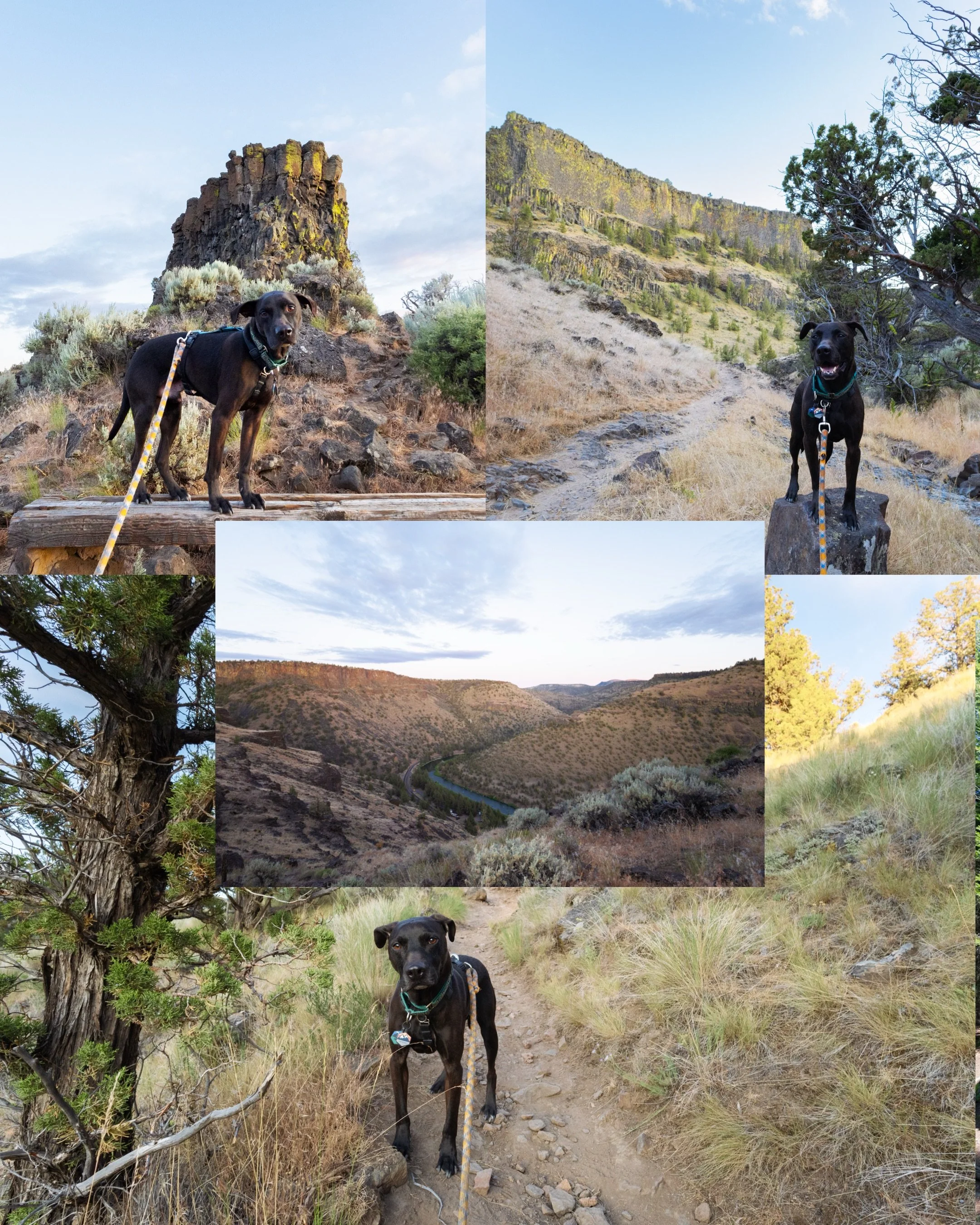 Prineville and Ochocos