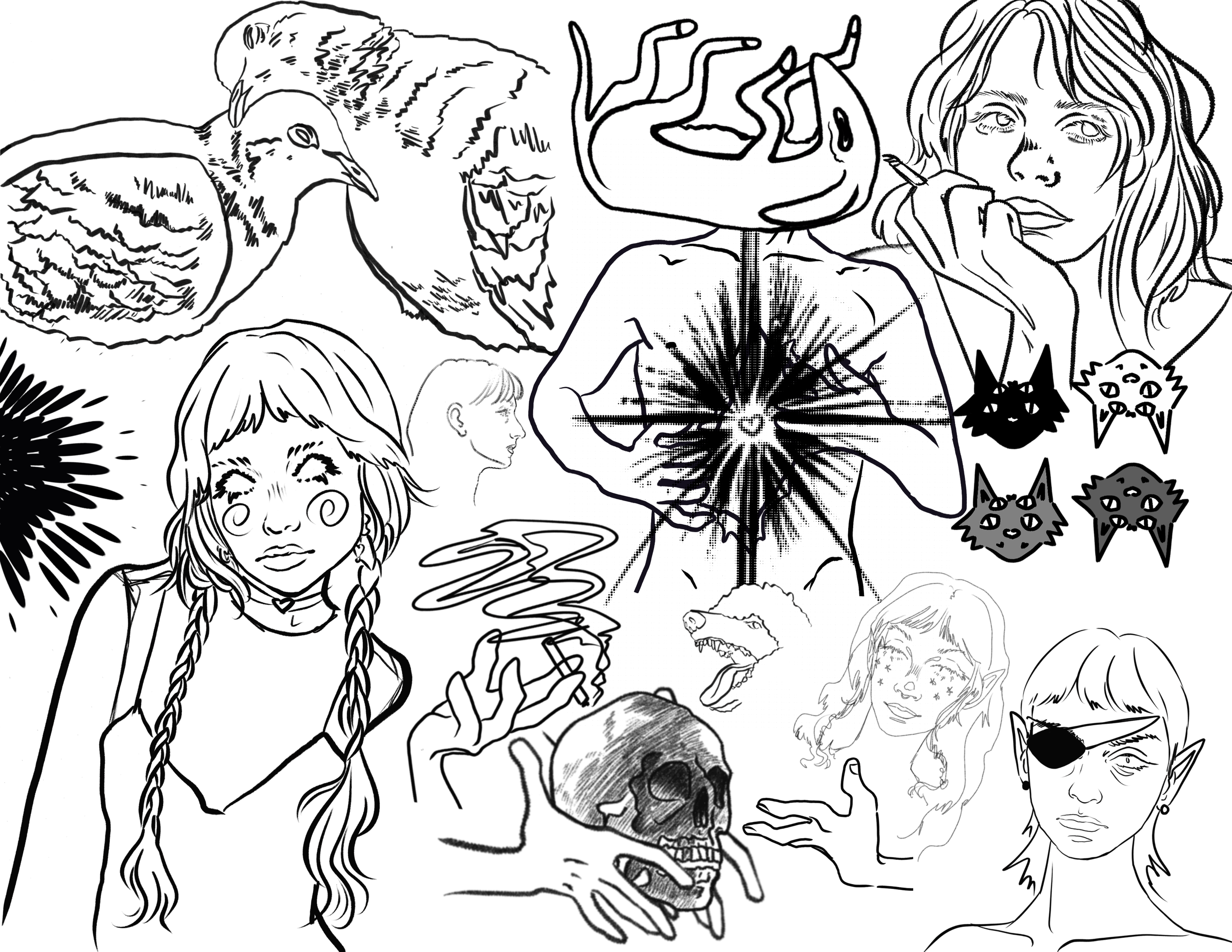 IMG_3144.PNG