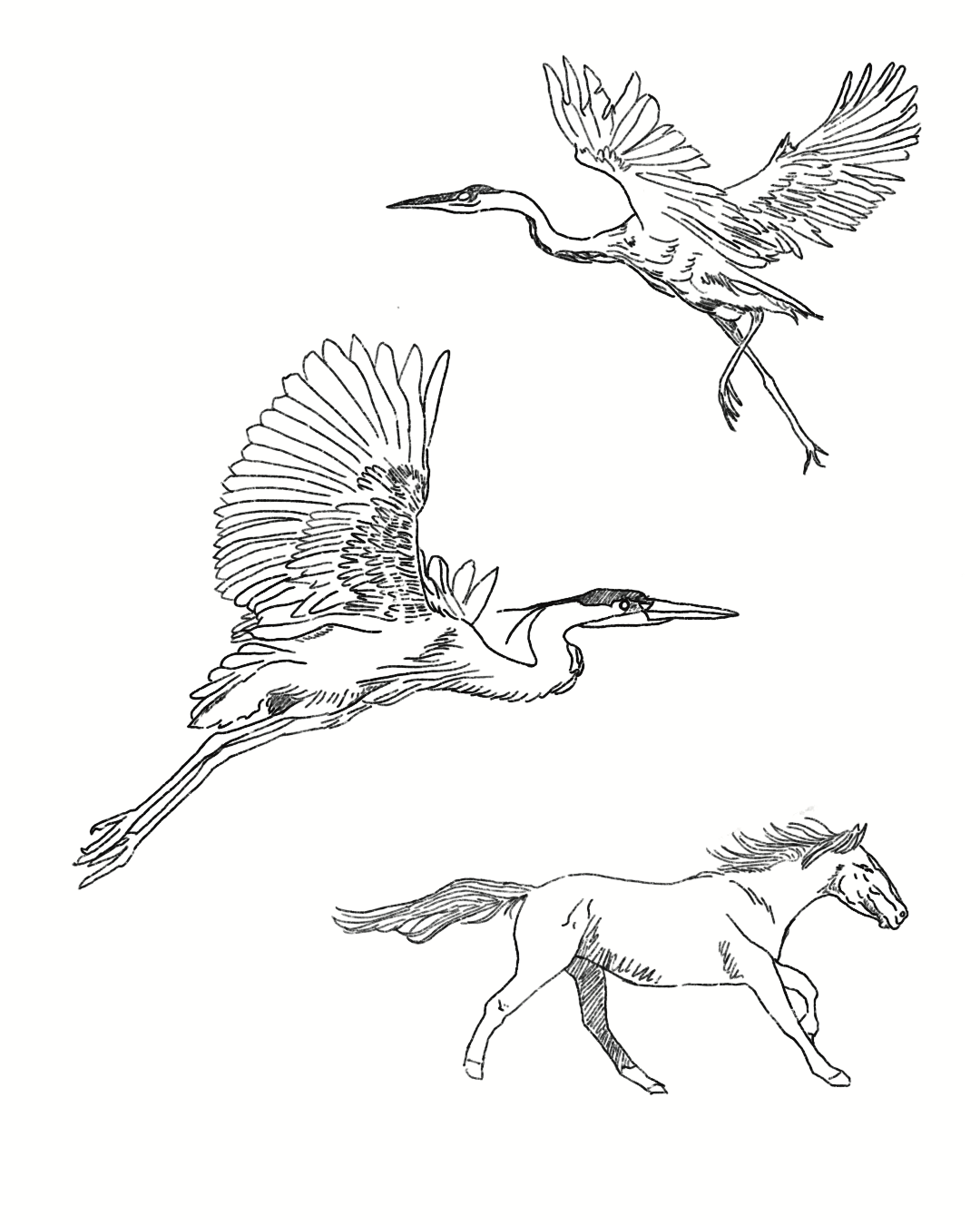 IMG_3265.PNG