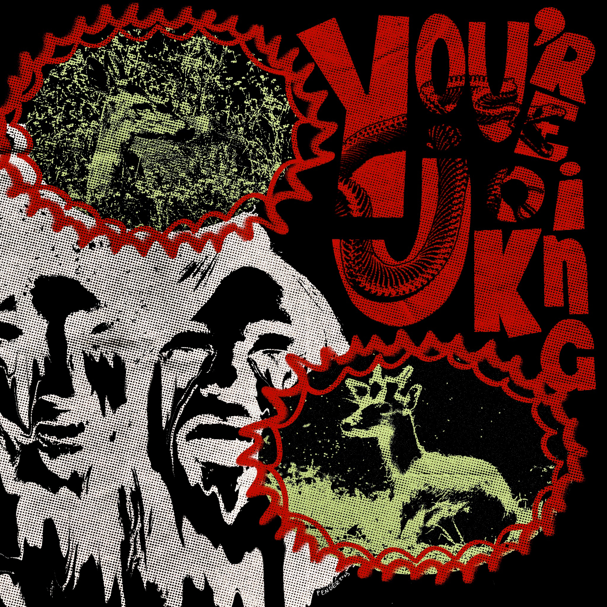 IMG_3149.PNG