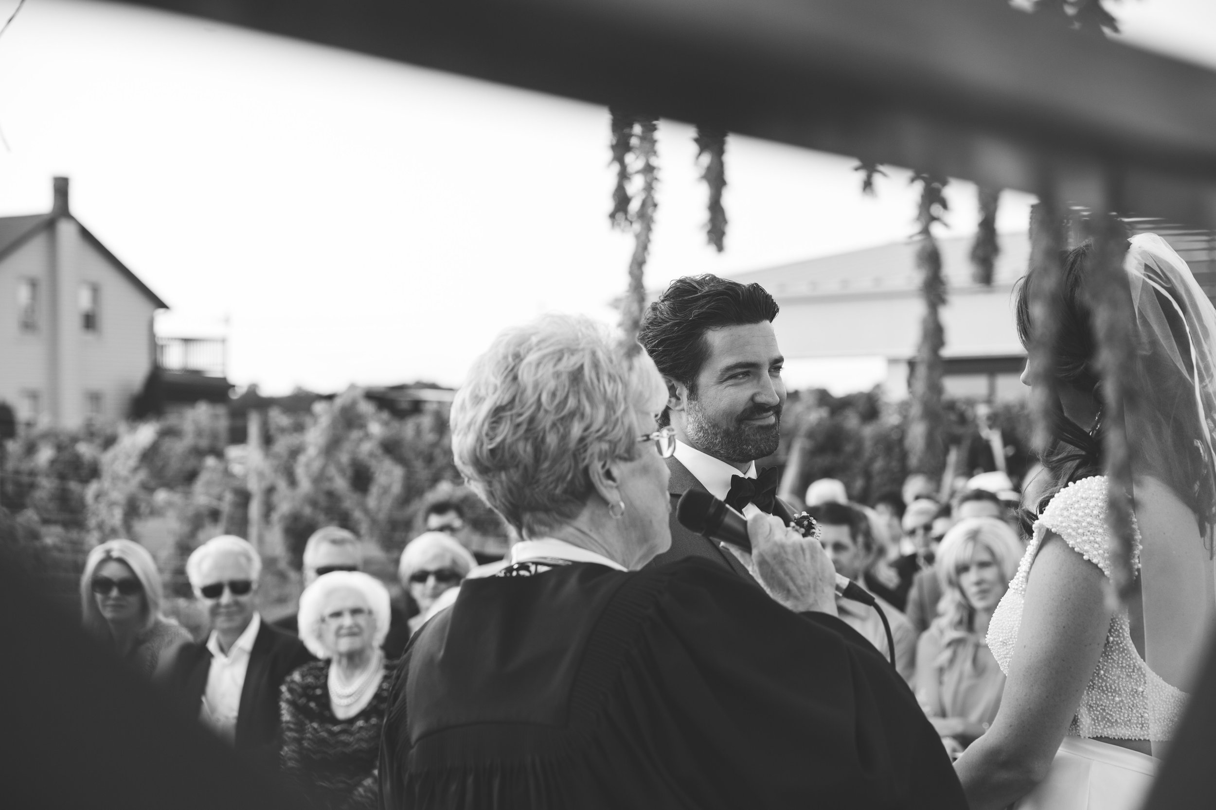 Beautiful wedding at Winery outdoor wedding