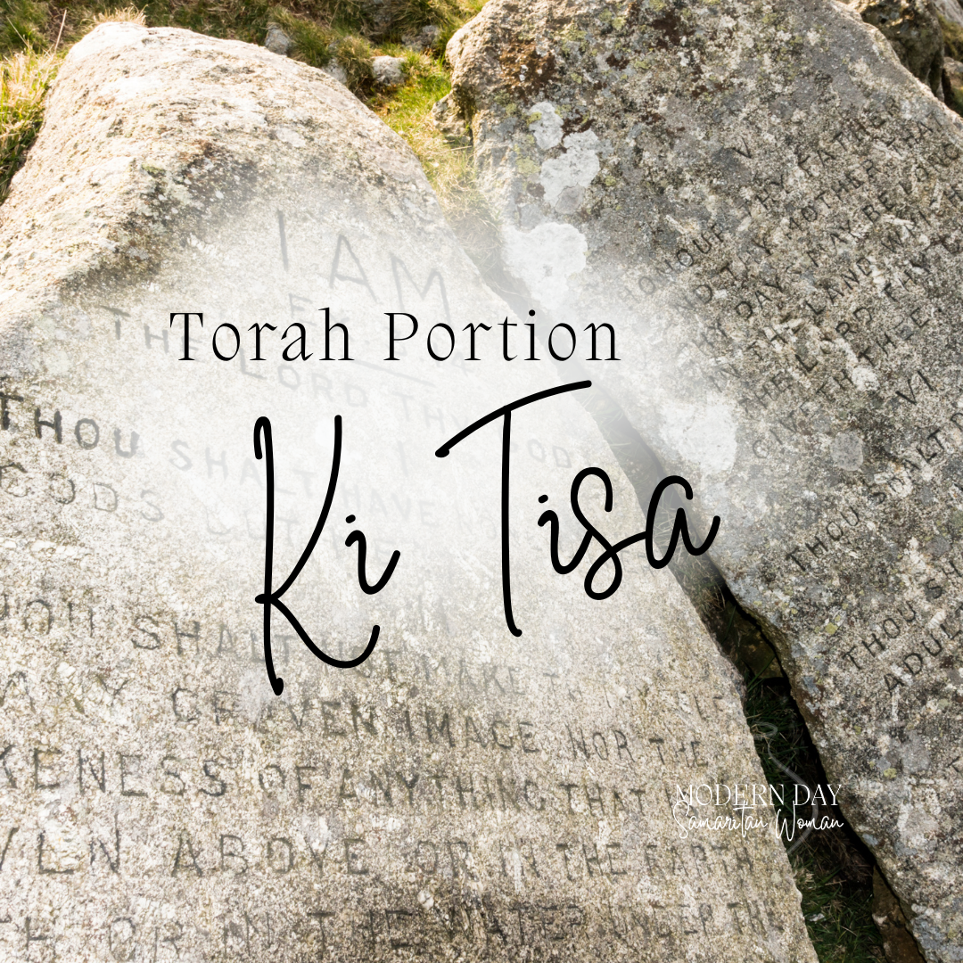 Torah Portion: Ki Tisa
