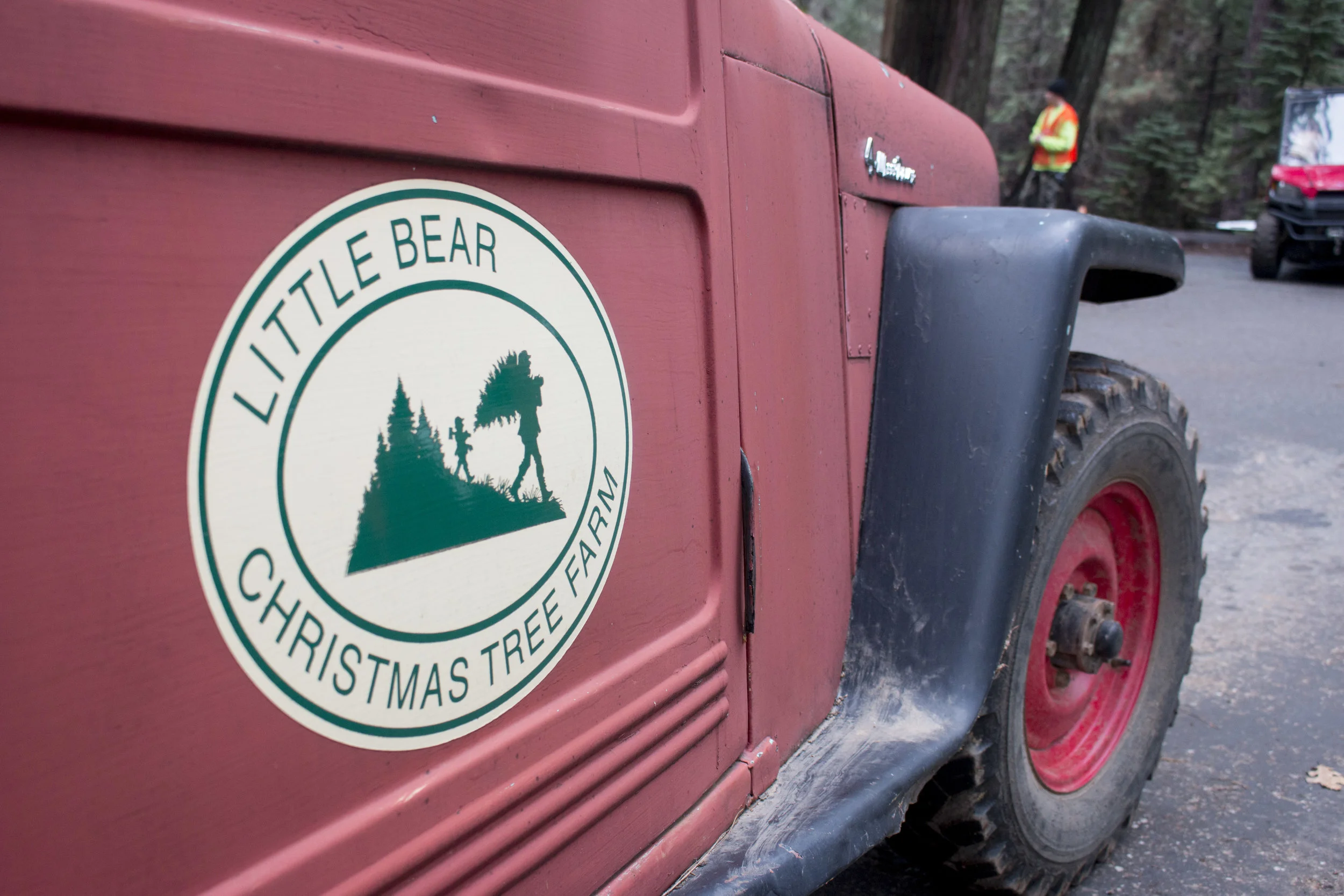 Be your own lumberjack - Christmas in Northern California