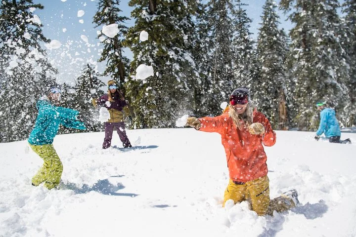 These 5 Snow Parks in Northern California Will Help You Beat the Winter Blues