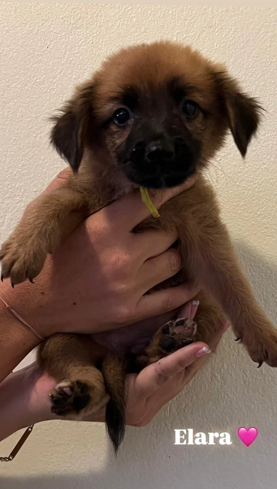 WhatsApp Image 2025-11-23 at 21.59.56.jpeg