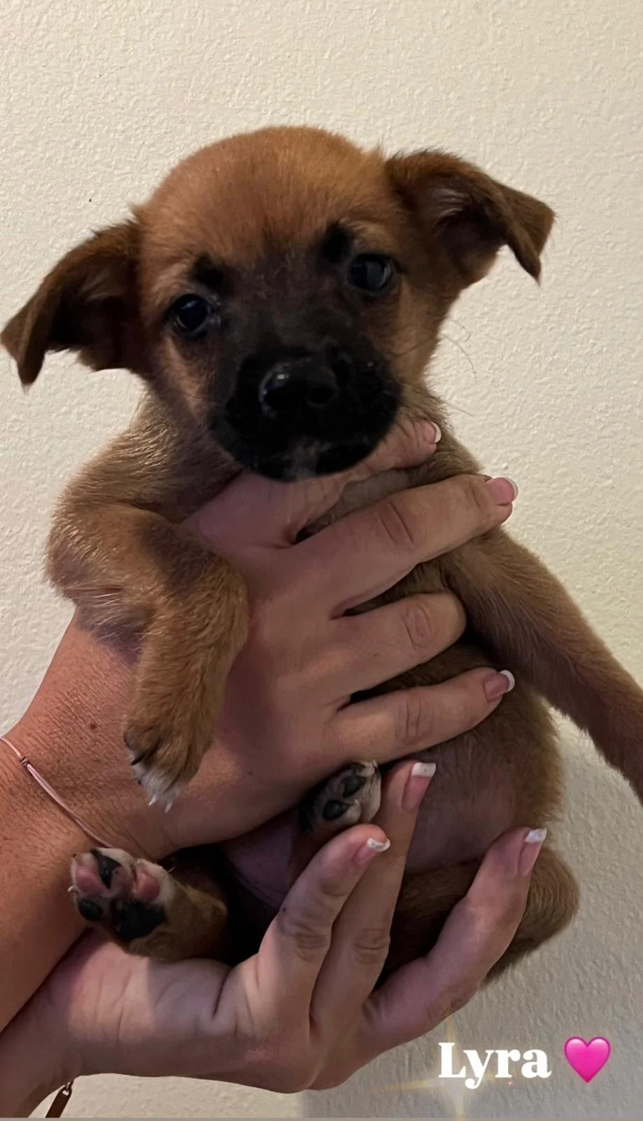 WhatsApp Image 2025-11-23 at 21.59.57 (2).jpeg