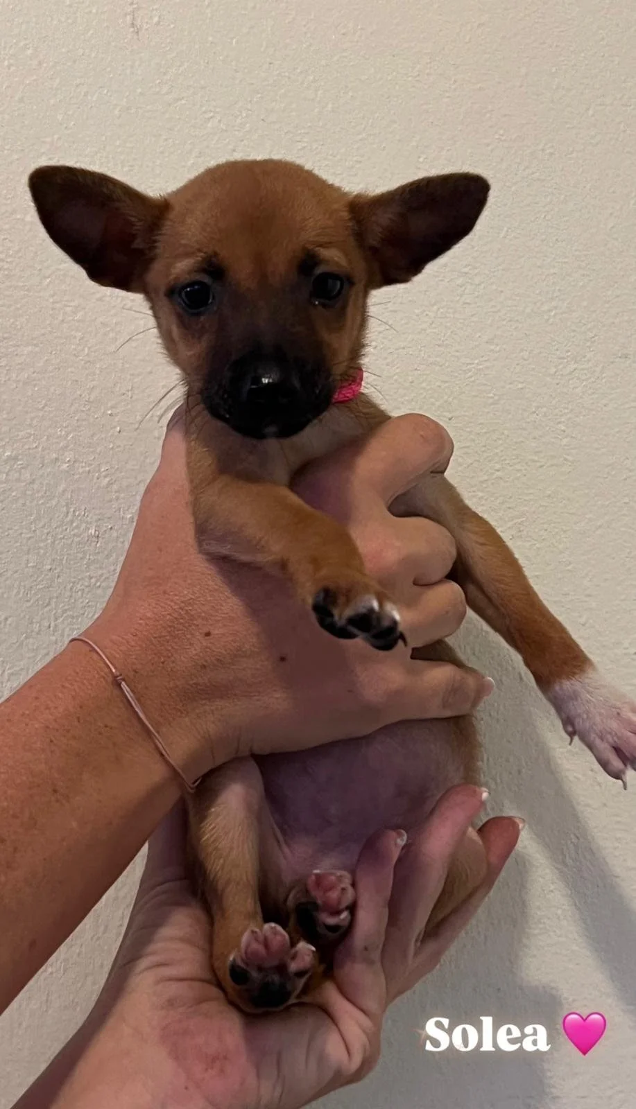 WhatsApp Image 2025-11-23 at 21.59.57 (3).jpeg