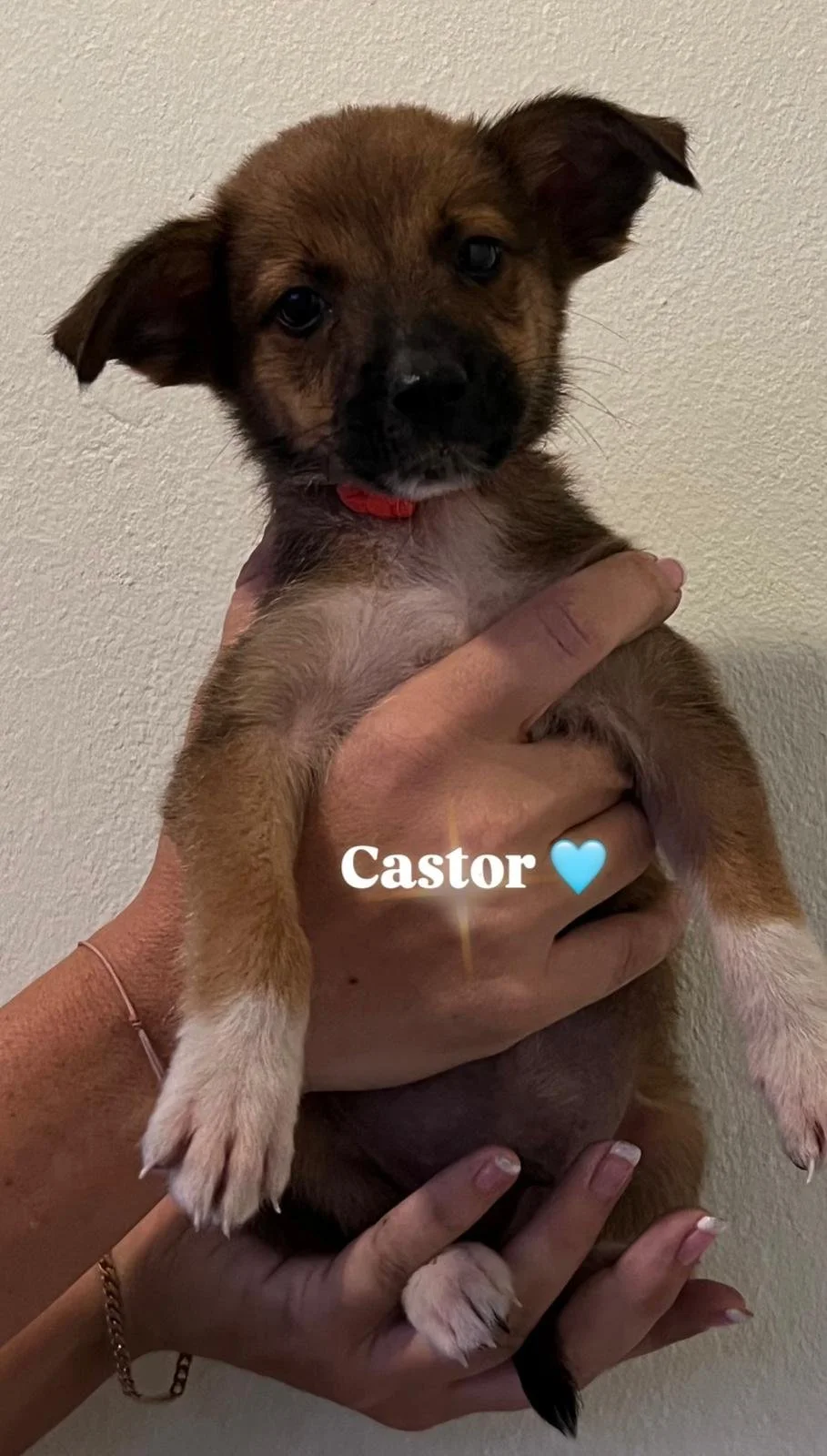 WhatsApp Image 2025-11-23 at 21.59.57.jpeg