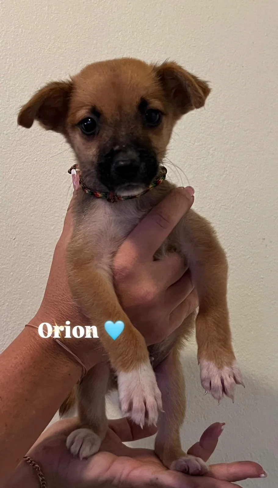 WhatsApp Image 2025-11-23 at 21.59.57 (4).jpeg