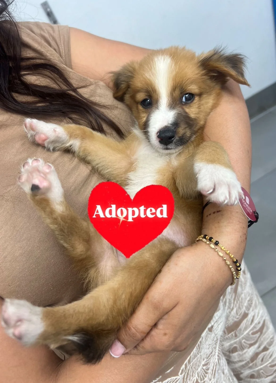 WhatsApp Image 2025-11-24 at 21.50.04.jpeg