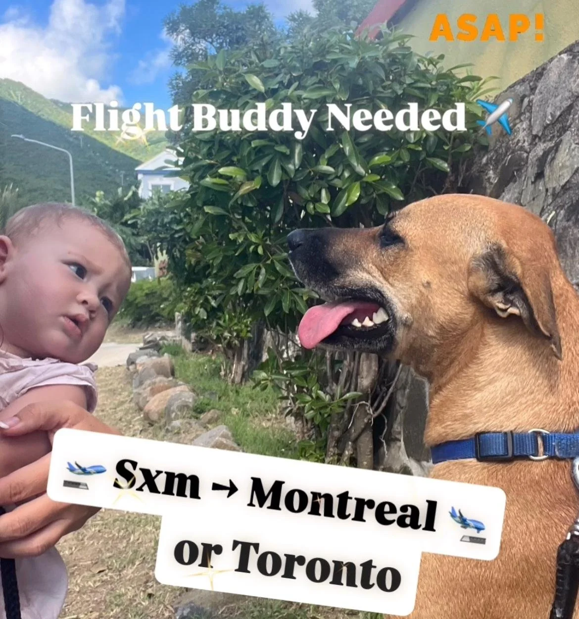 WhatsApp Image 2025-11-24 at 22.19.29.jpeg