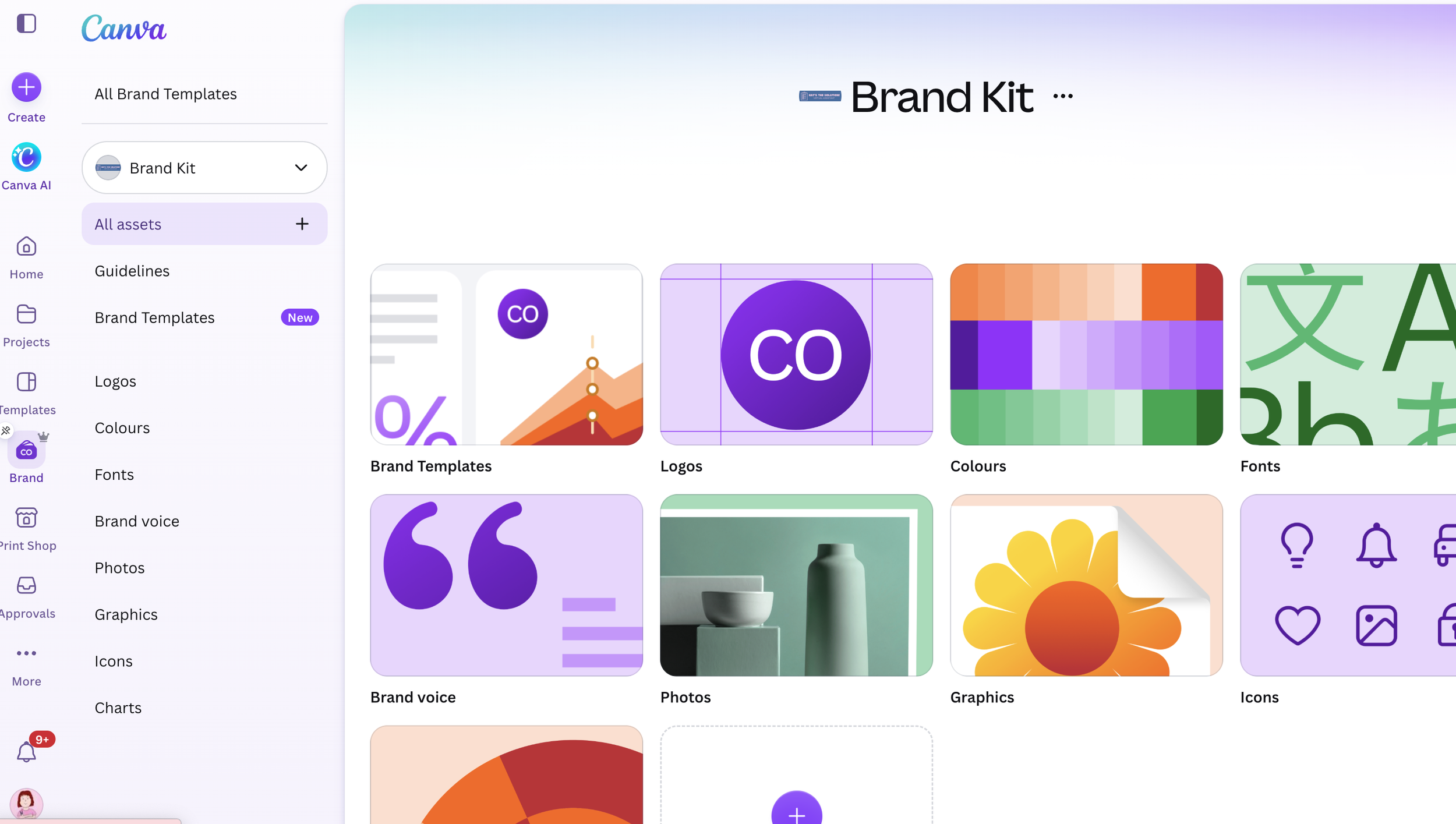 A screenshot image of the canva branding kit including templates, logos and colours