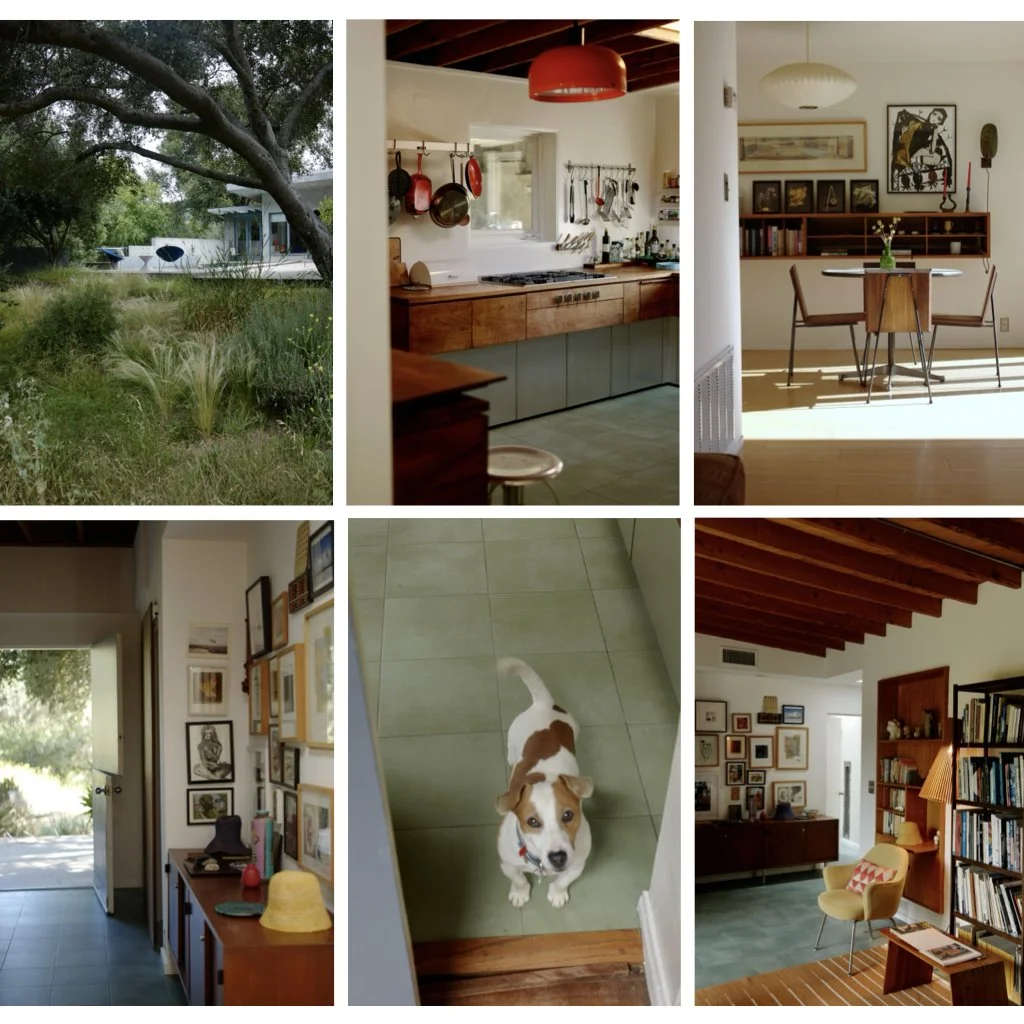 Topanga: Under an Oak, Beyond the City