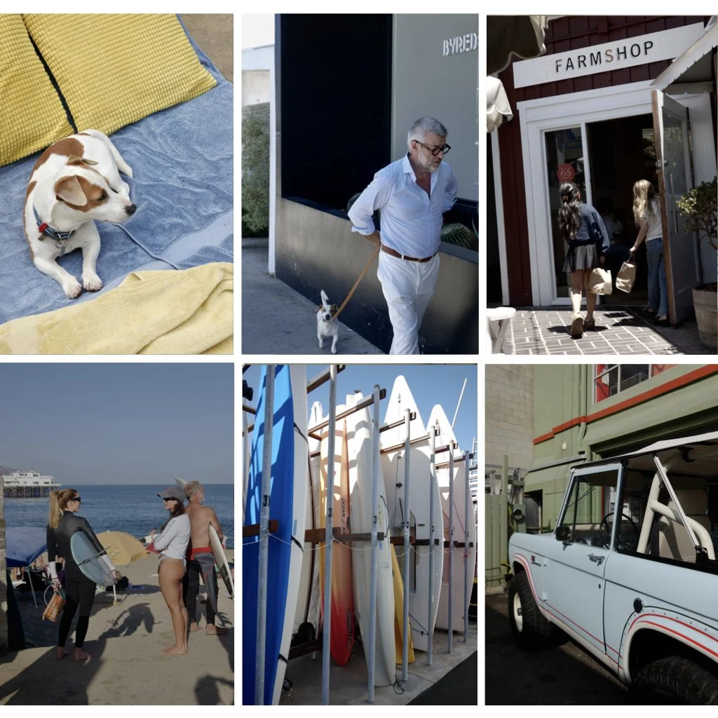 Collage of images of Los Angeles: Brentwood Country Mart,  Surfrider Beach, Abbott Kinney, and Mr Watson our Jack Russell