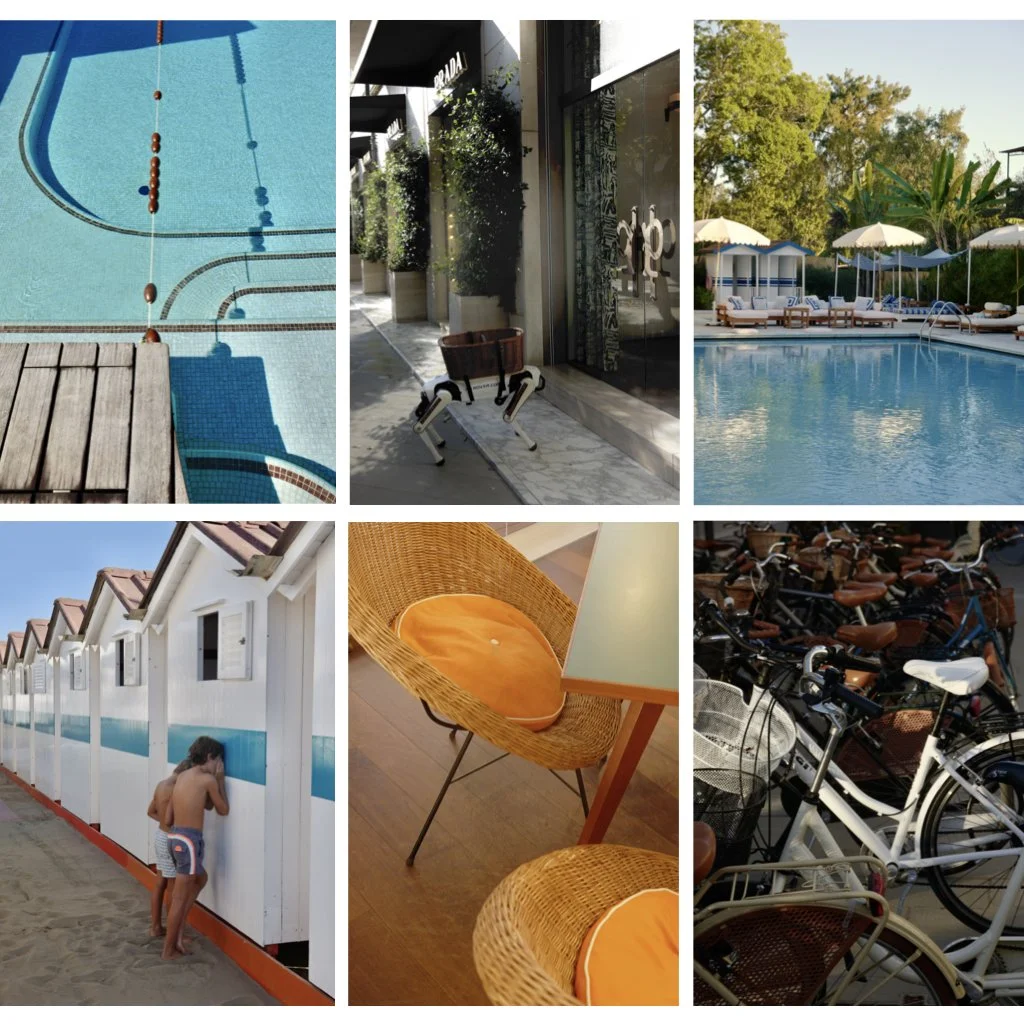 Forte dei Marmi's Dog Days