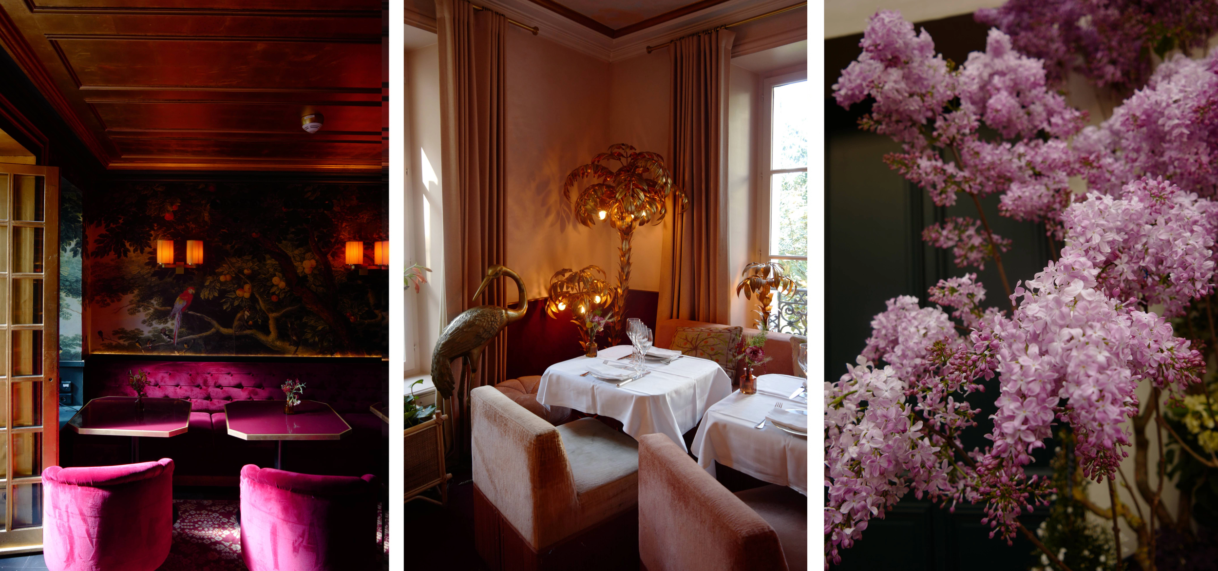 Photo series of interiors of Hotel Particulier, Montmartre Paris