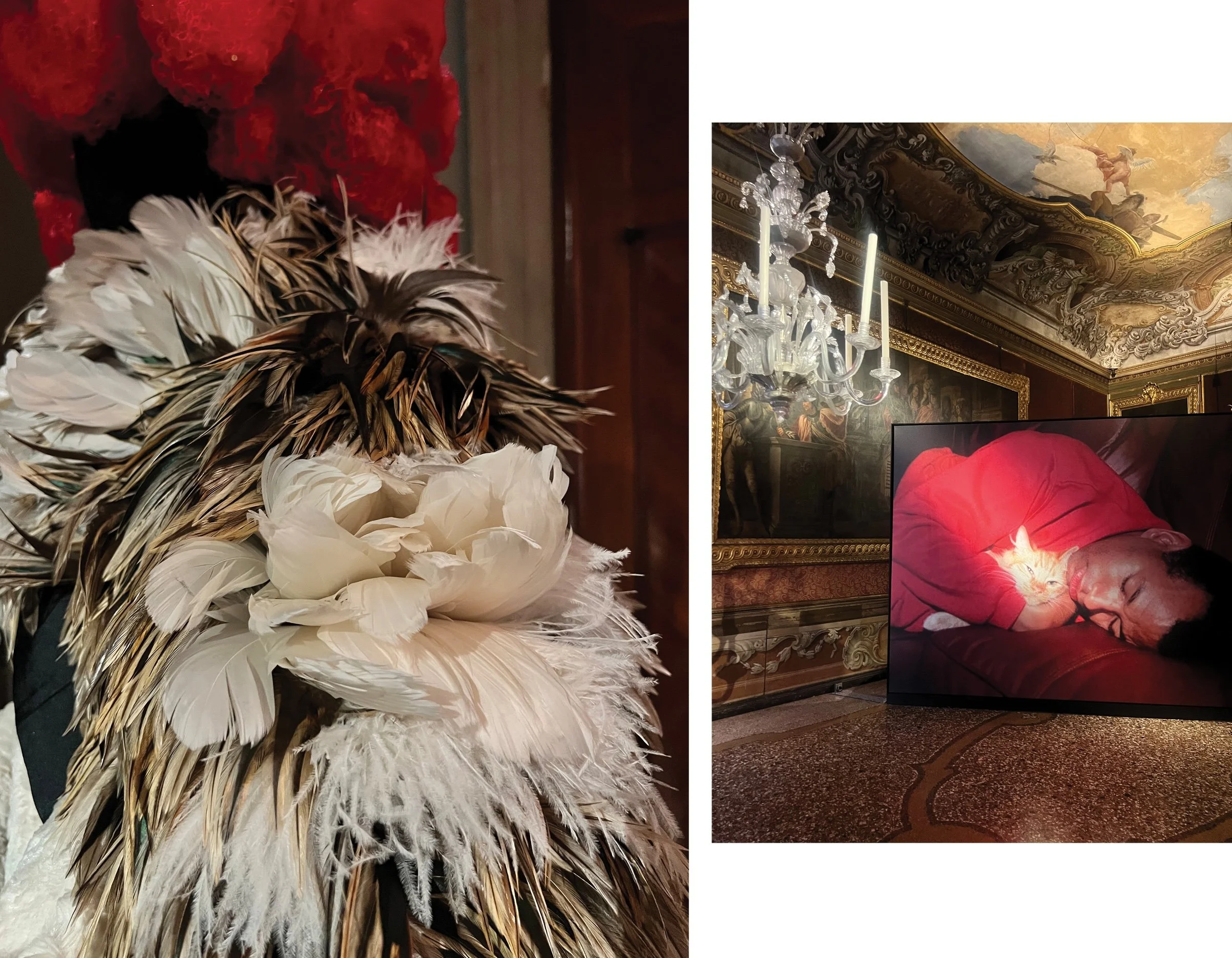 Dries Van Noten The Only True Protest Is Beauty exhibitions views