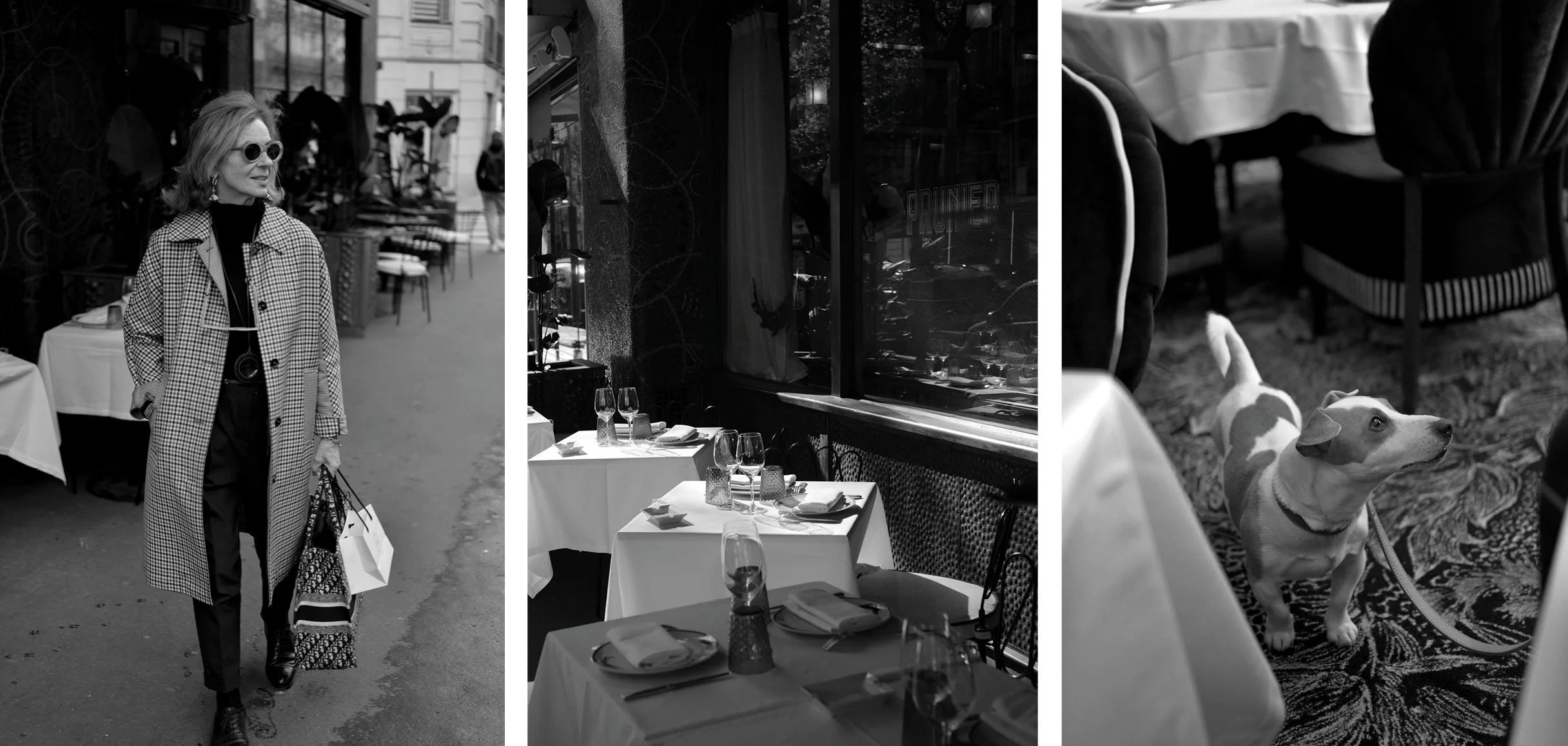 Series of images of restaurant Prunier Avenue Victor Hugo in Paris, including guest and dog on a flowered carpet.