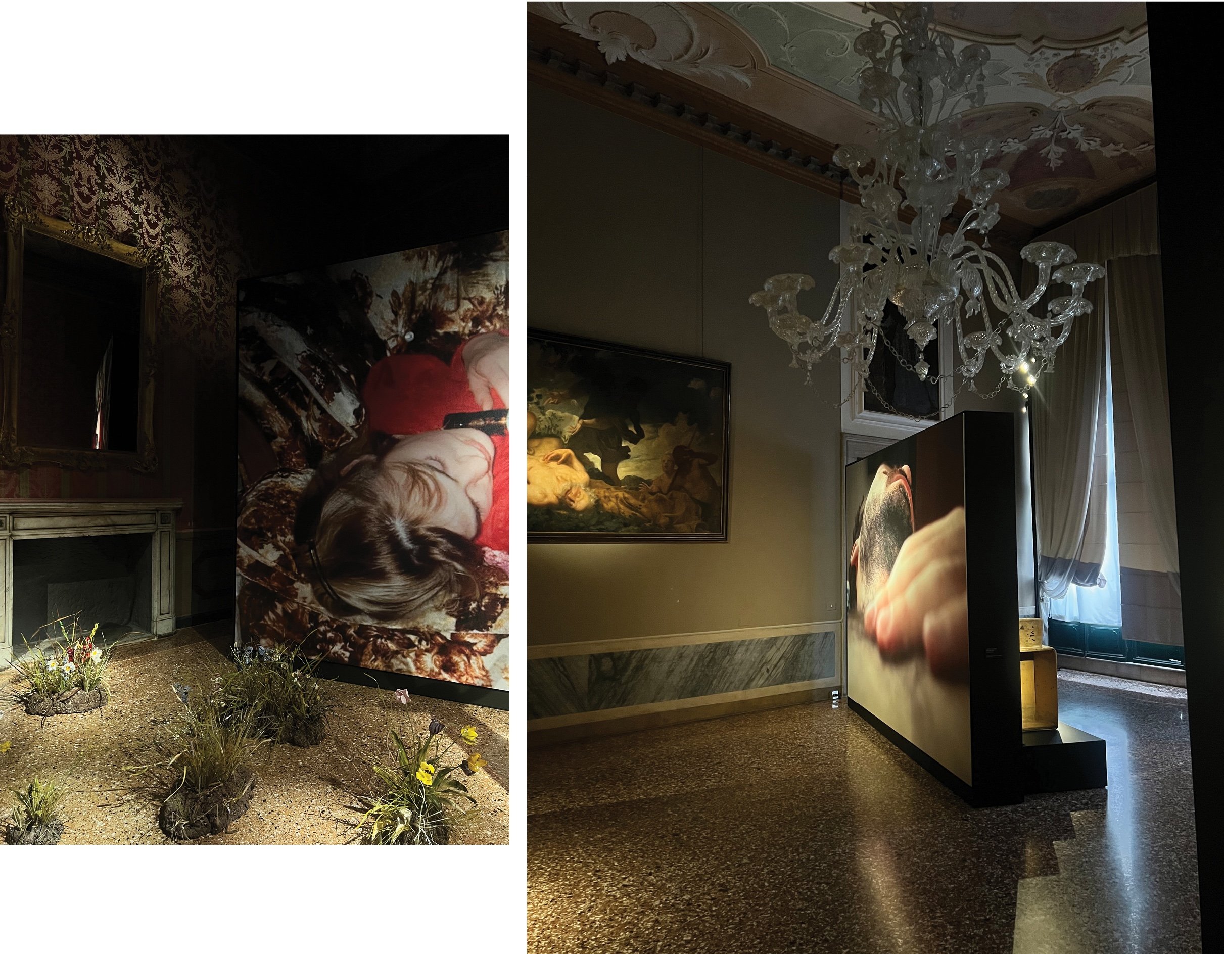 Dries Van Noten The Only True Protest Is Beauty exhibitions views
