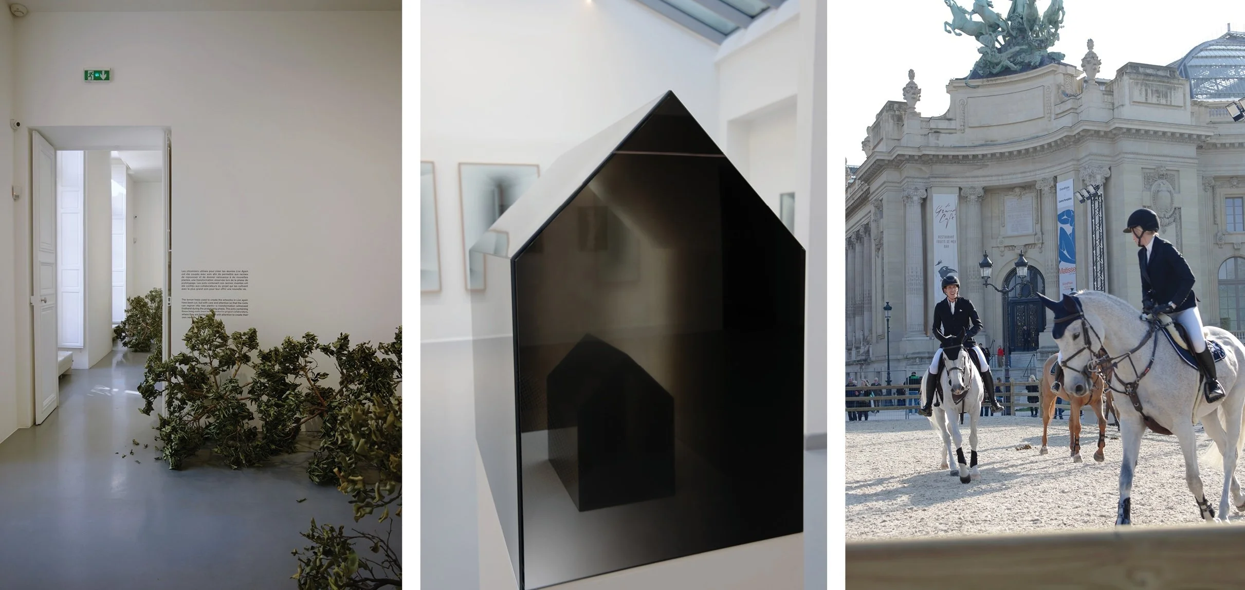 art and horses in paris in spring