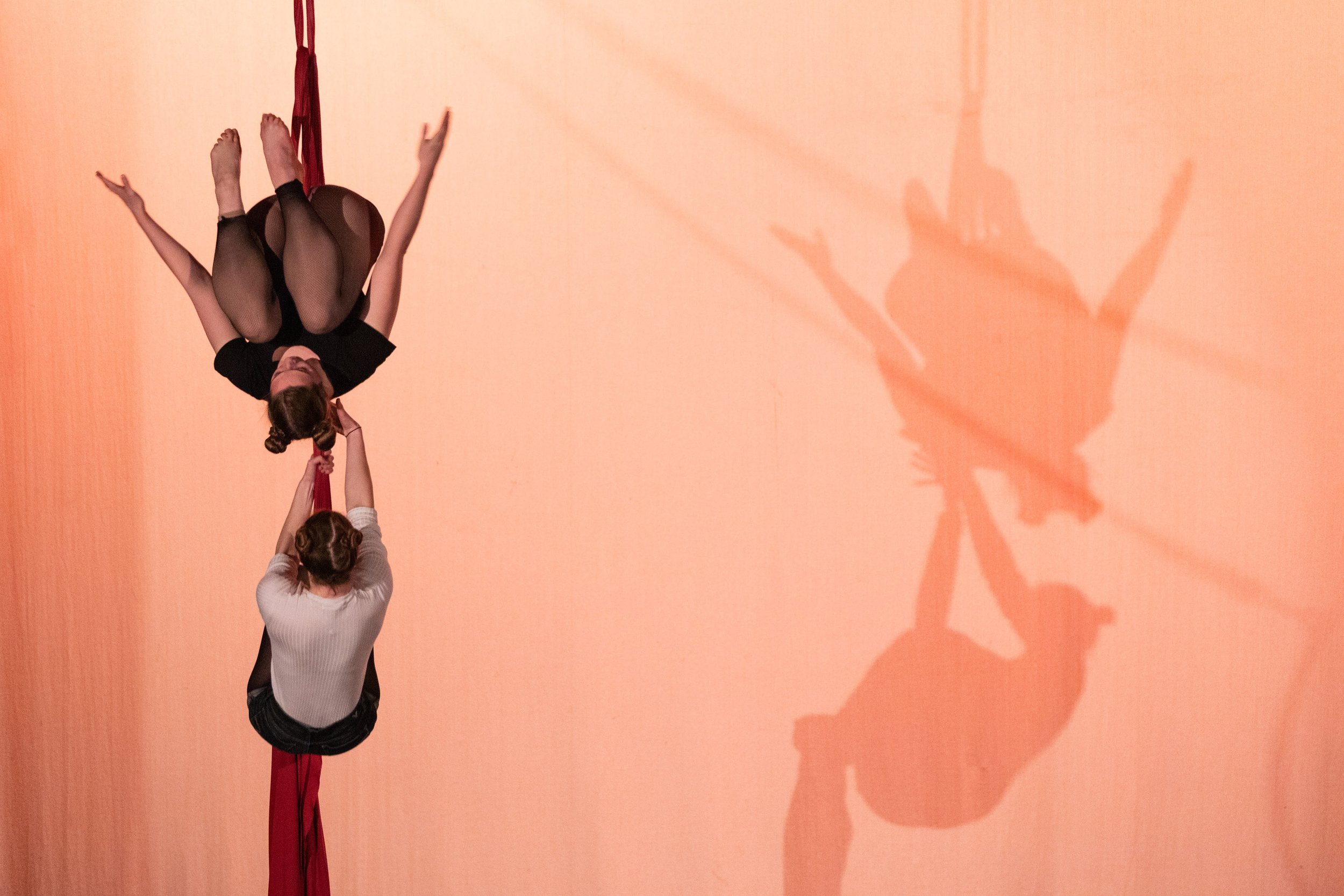 Performance-Silks-2.jpeg